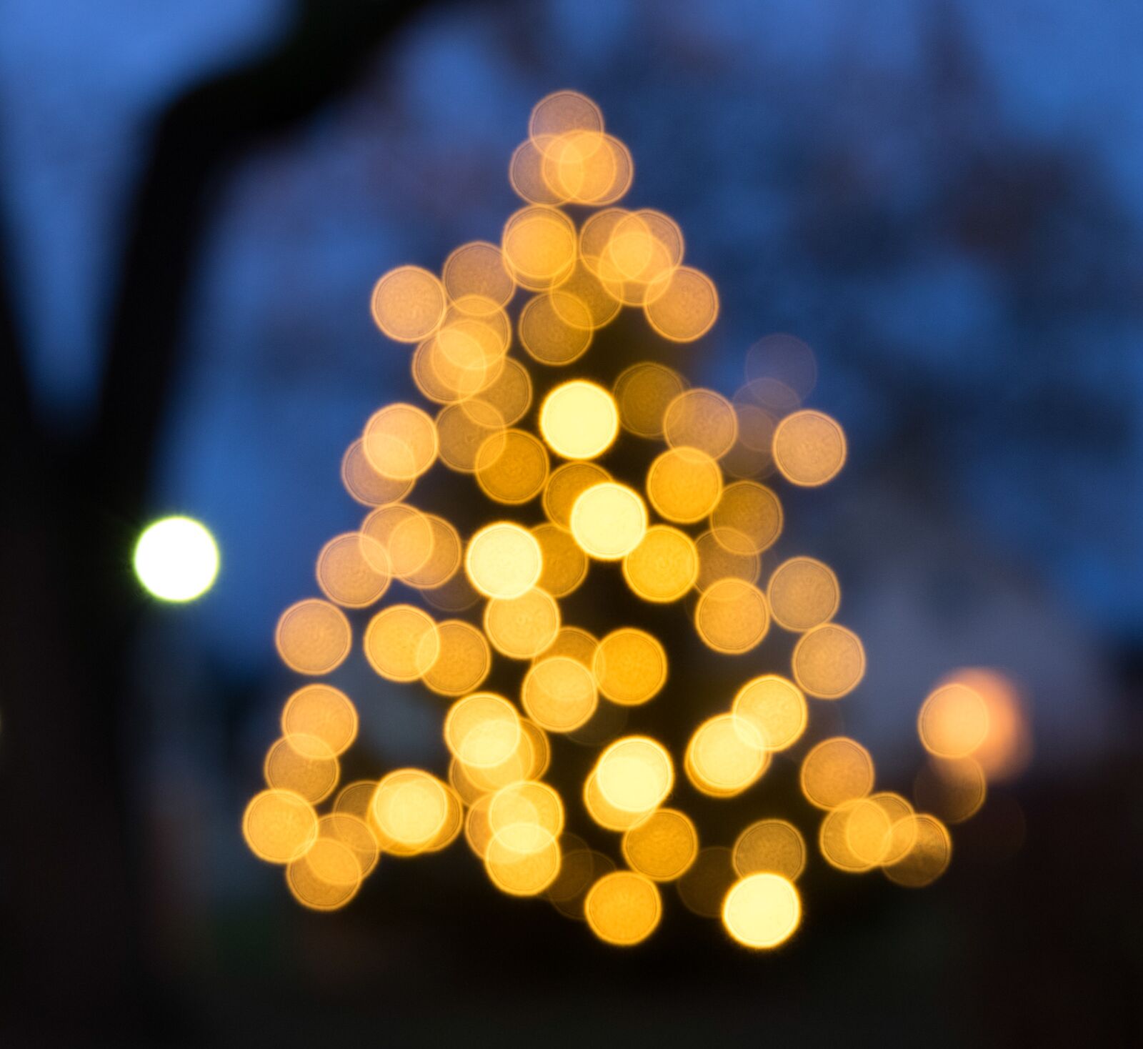 Fujifilm XC 16-50mm F3.5-5.6 OIS II sample photo. Christmas, christmas tree, christmas photography