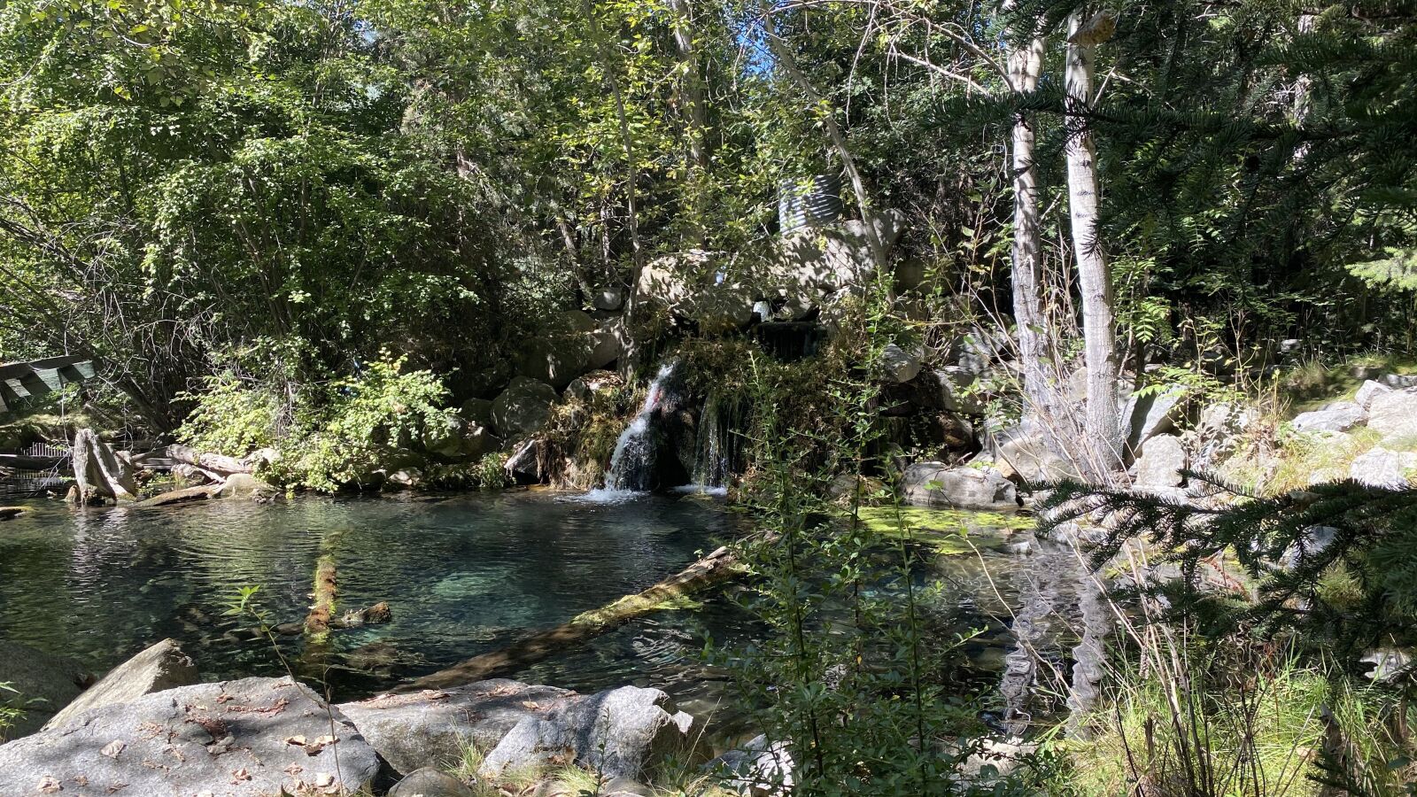 Apple iPhone 11 Pro Max sample photo. Forest, river, stream photography