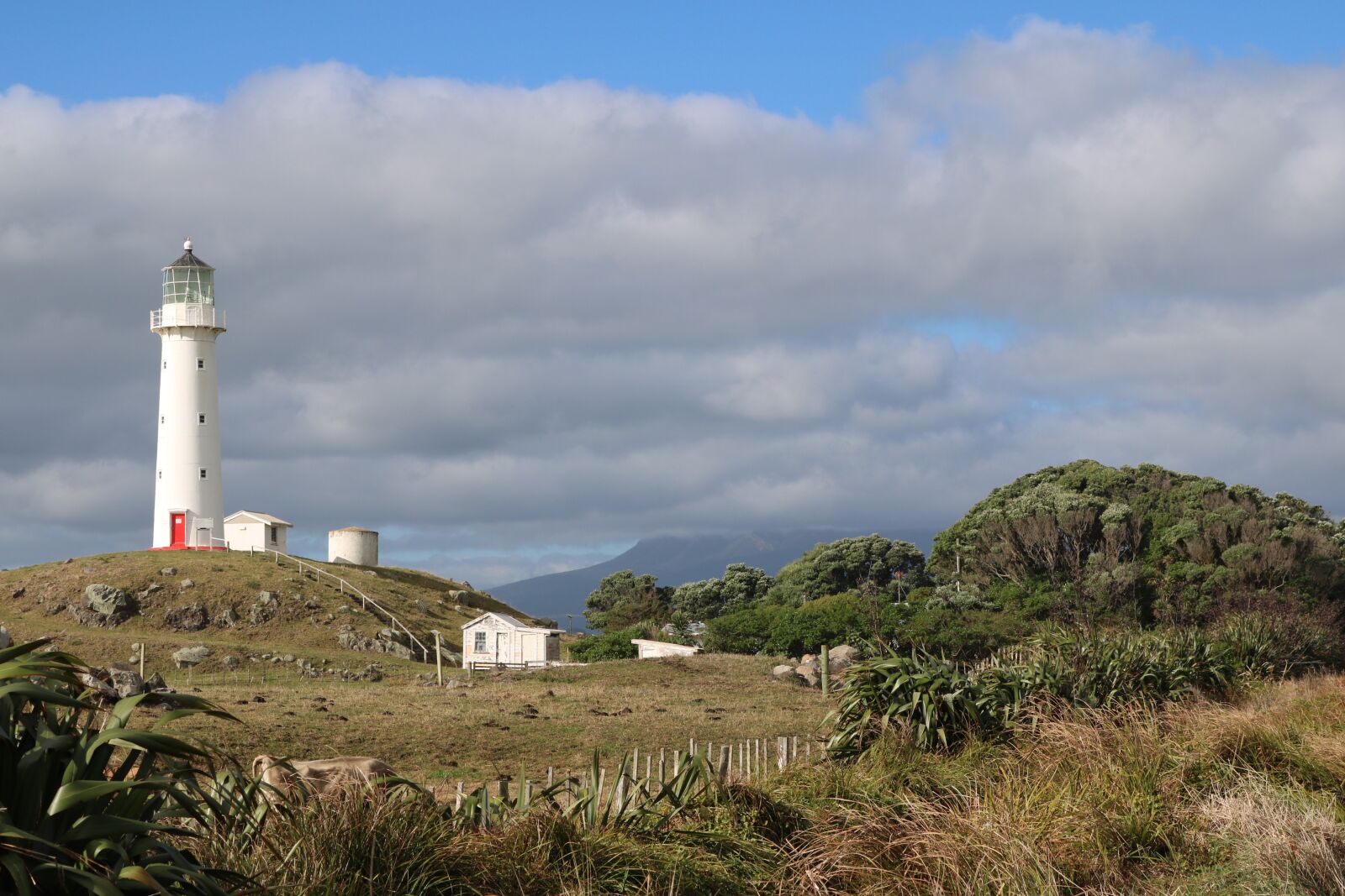 Canon EOS 750D (EOS Rebel T6i / EOS Kiss X8i) sample photo. Lighthouse, farm, hill photography