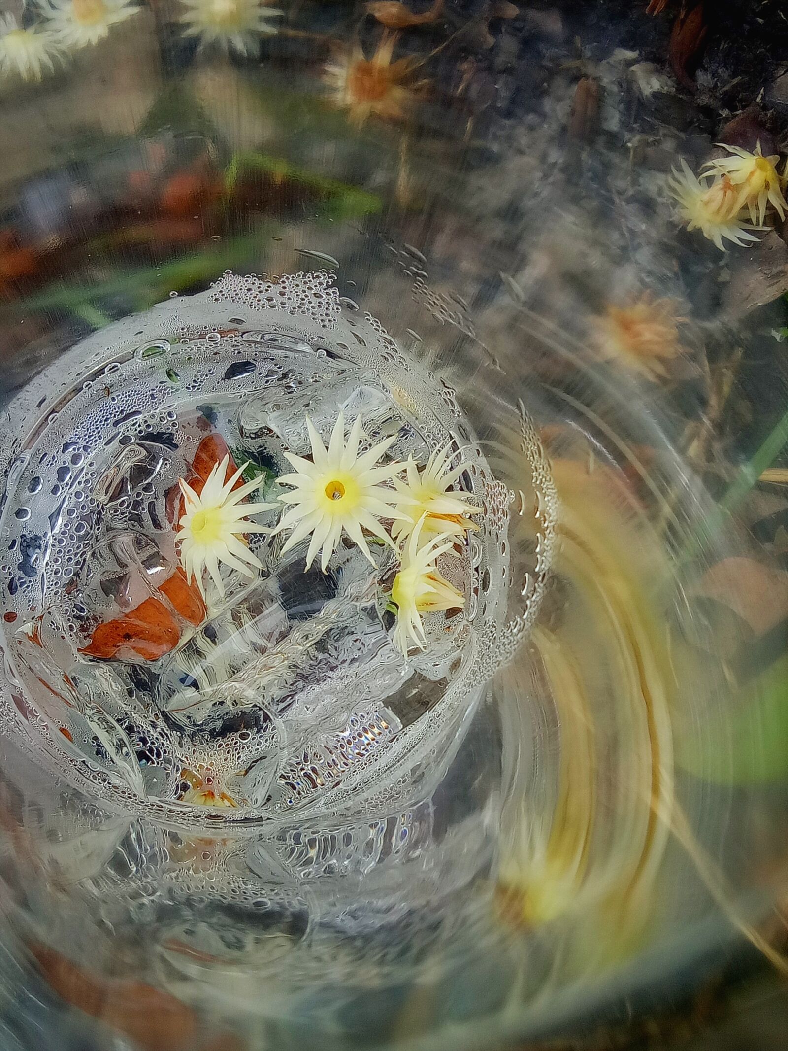 OPPO A1601 sample photo. Flowers, cup, plastic photography
