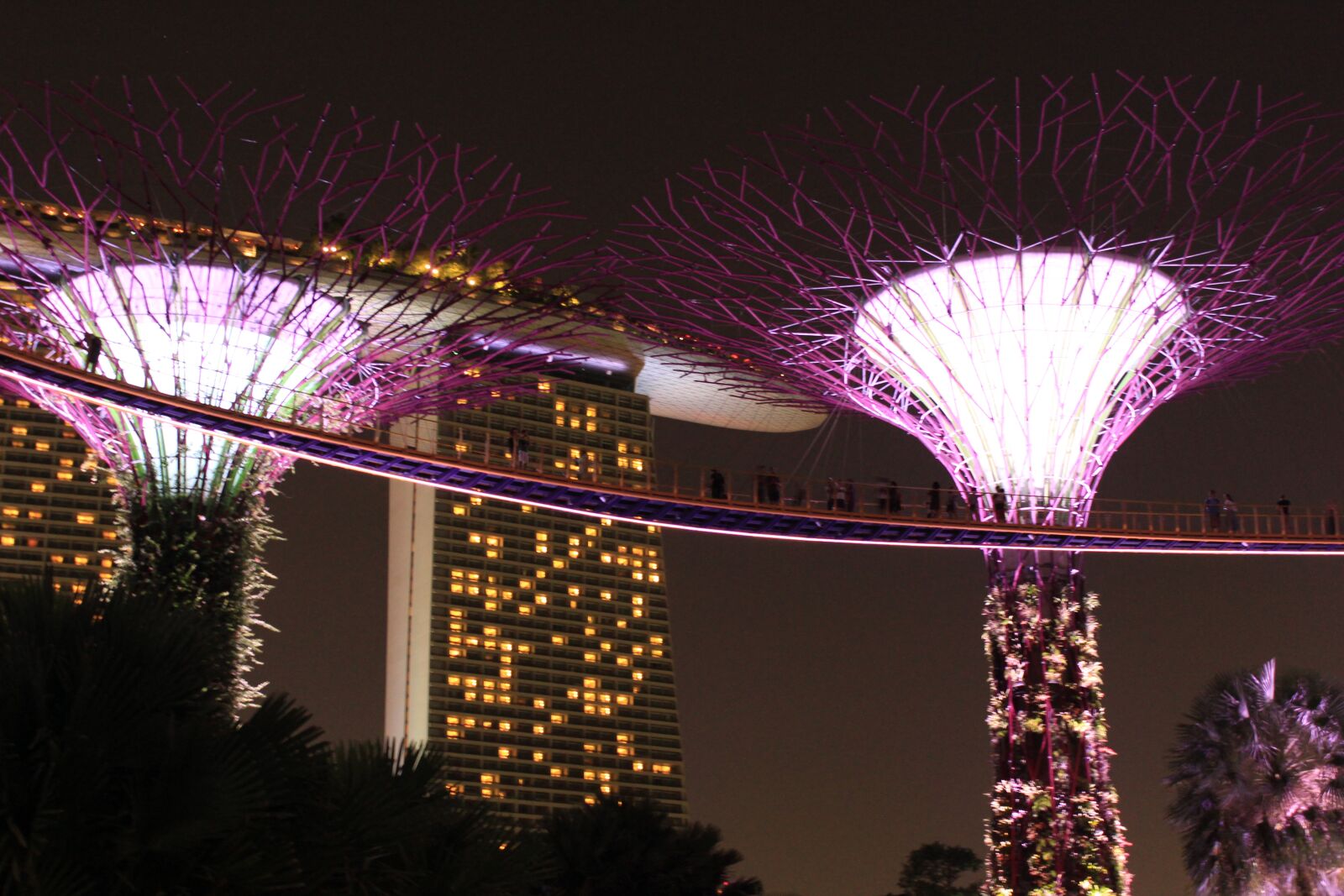 Canon EOS 1300D (EOS Rebel T6 / EOS Kiss X80) sample photo. Singapore, gardens by the photography