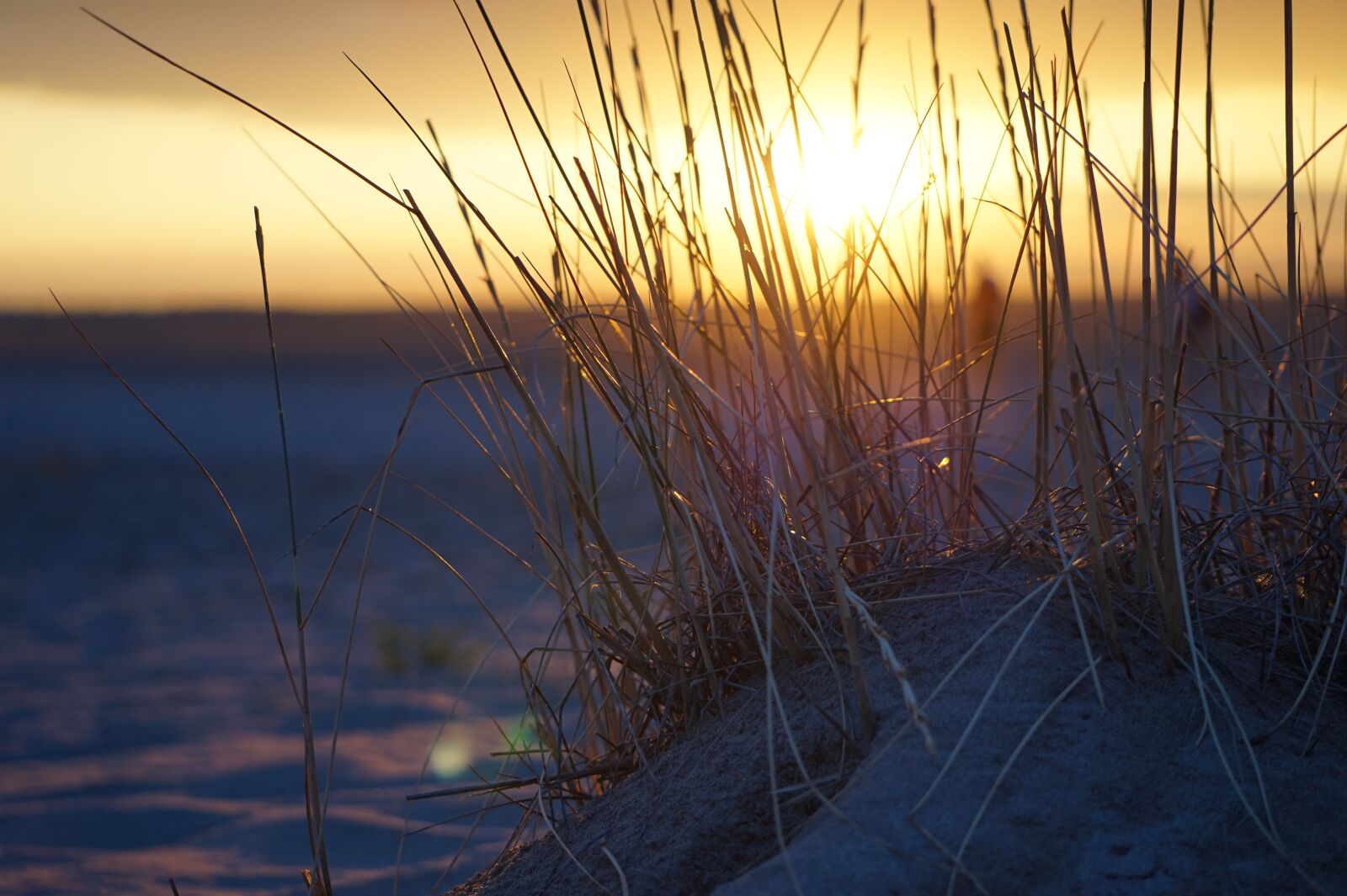 Sony Alpha a5000 (ILCE 5000) + Sony E 55-210mm F4.5-6.3 OSS sample photo. Sunset, summer, sky photography