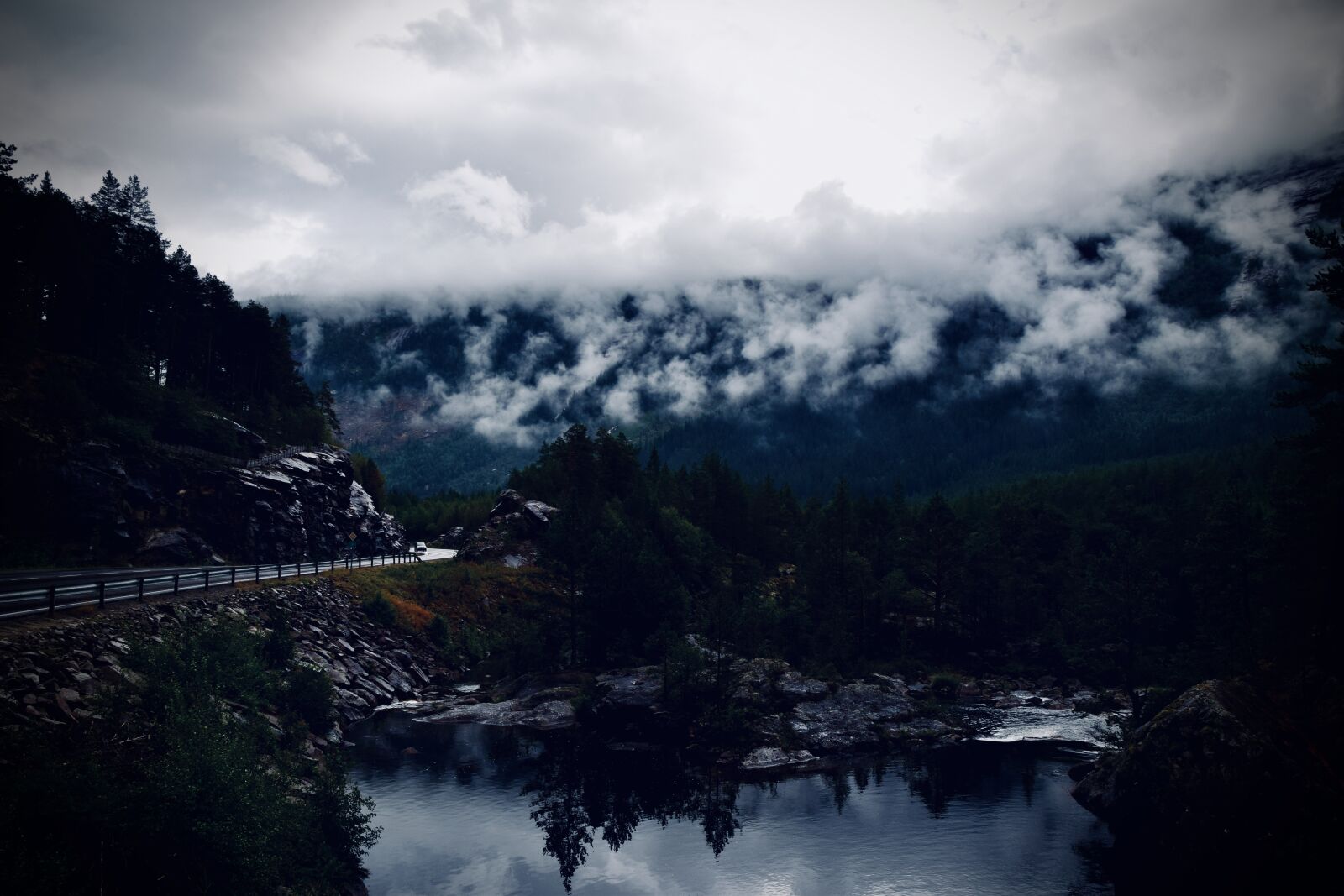 Nikon D5300 sample photo. Fog, river, trees photography