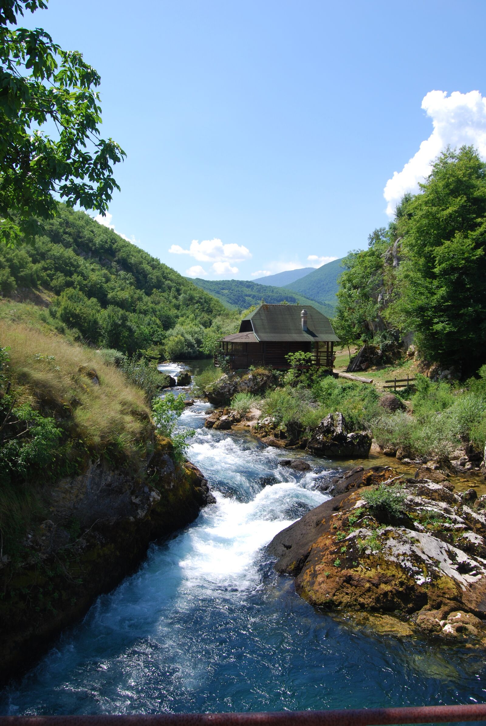 Nikon D60 sample photo. River, nature, forest photography