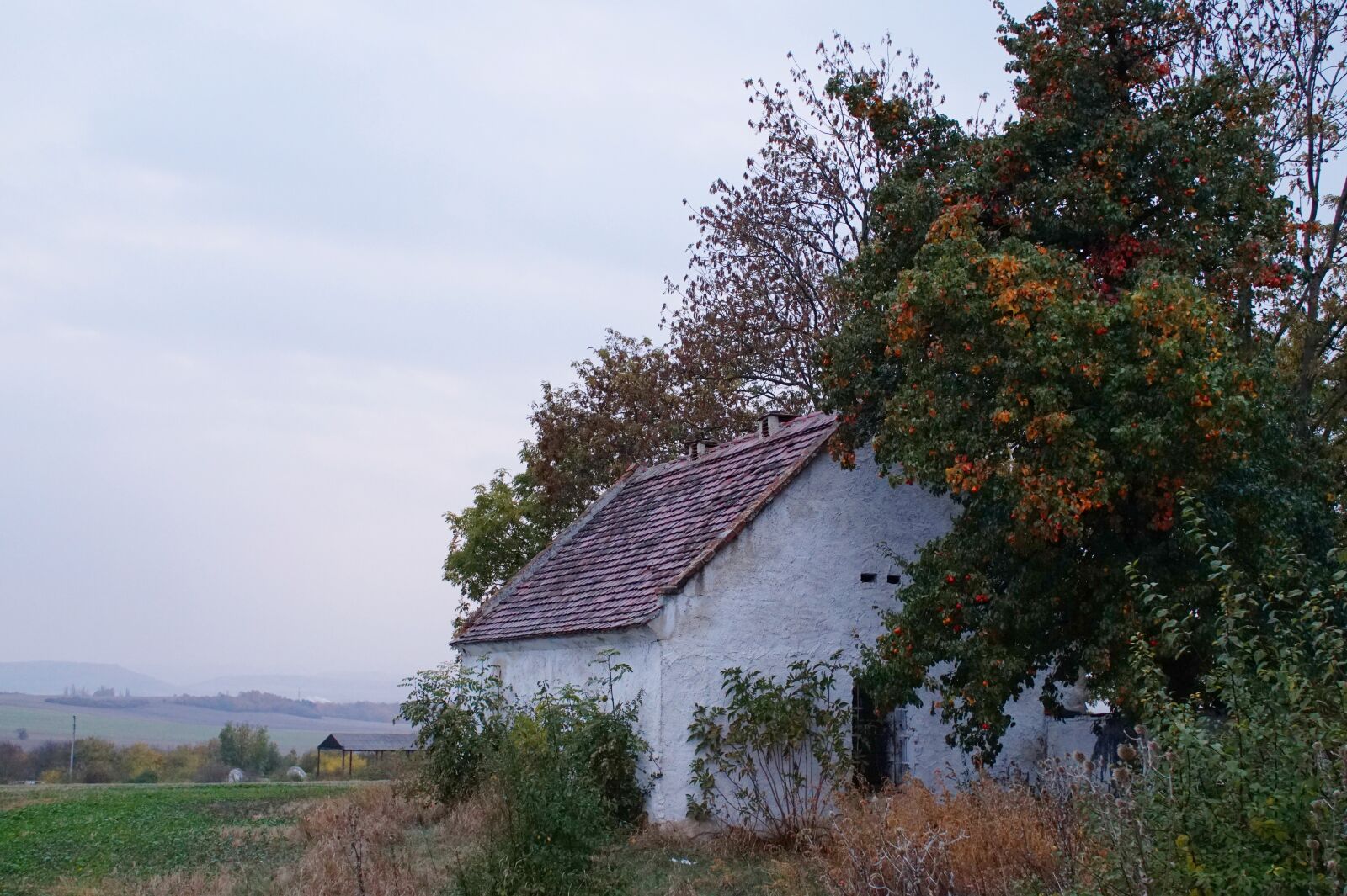 Sony Alpha a5000 (ILCE 5000) sample photo. House, stone, old photography