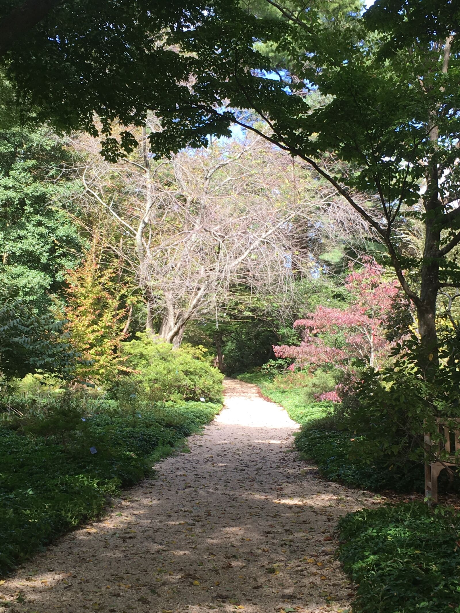 iPhone 6s back camera 4.15mm f/2.2 sample photo