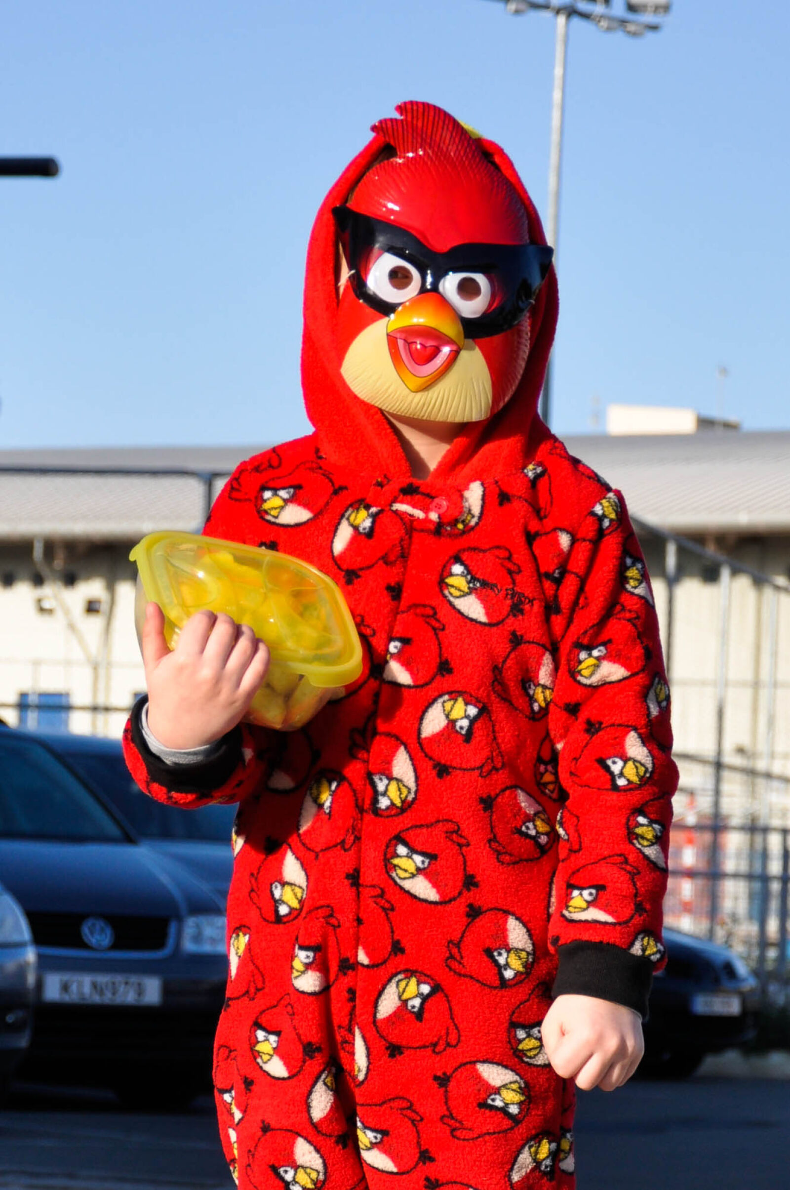 Nikon D90 sample photo. Angry, bird, carnaval, costume photography