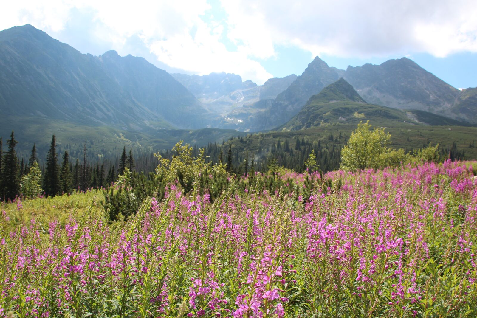 Canon EOS 600D (Rebel EOS T3i / EOS Kiss X5) sample photo. Mountains, tatry, landscape photography