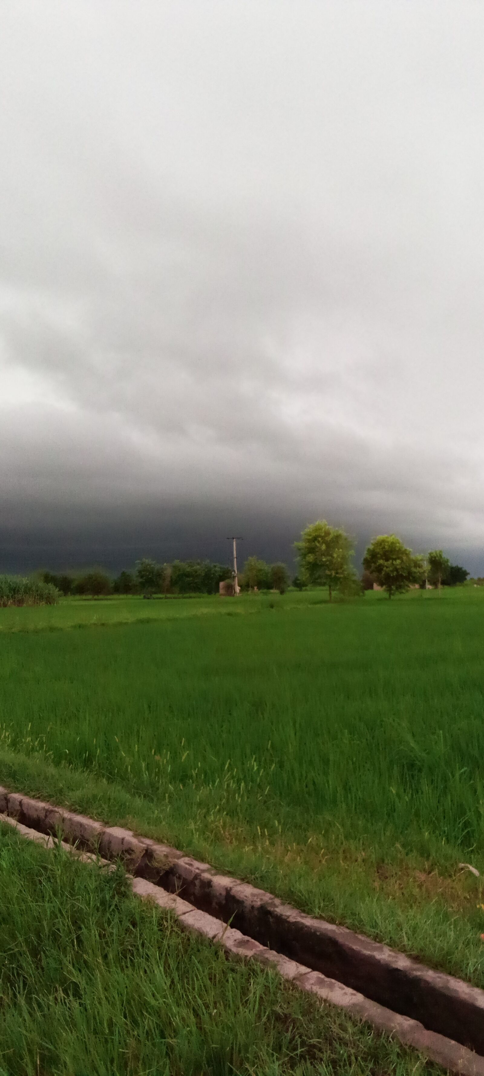 INFINIX MOBILITY LIMITED Infinix X653C sample photo. Natural, wallpaper, scenery photography