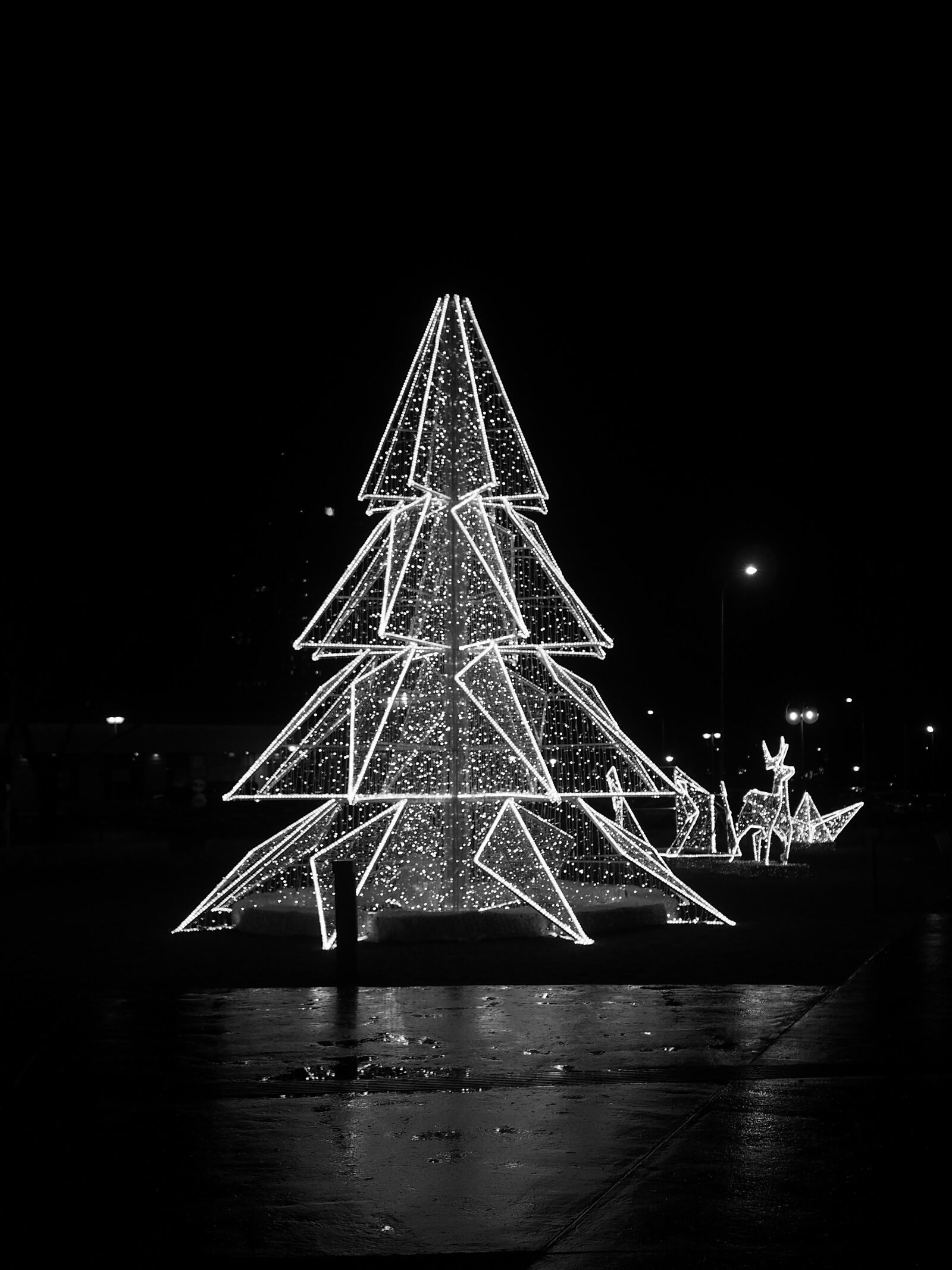 Olympus PEN E-PL5 sample photo. Black, and, white, christmas photography