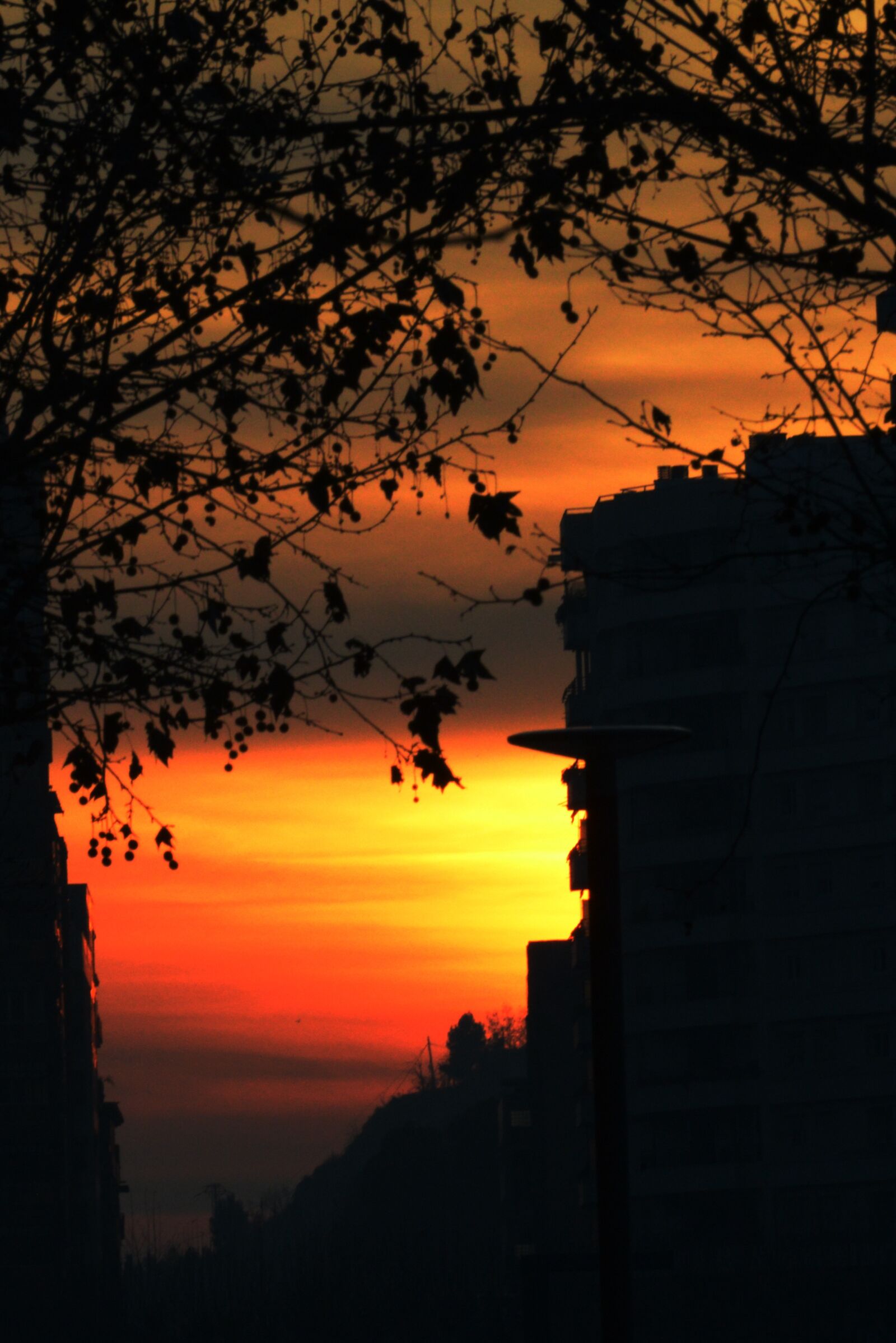 Nikon D600 sample photo. Sunset, city, evening photography