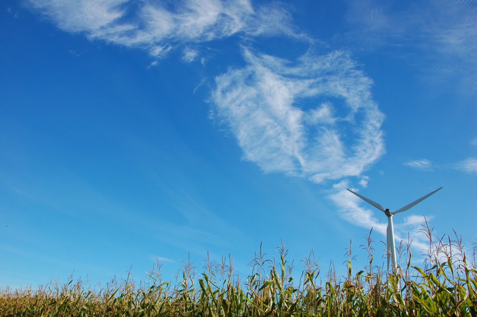 Nikon D40 sample photo. Pinwheel, clouds, field photography