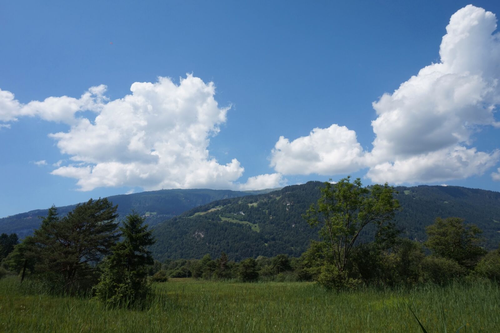 Sony Alpha a5000 (ILCE 5000) sample photo. Interlaken, nature, sky photography
