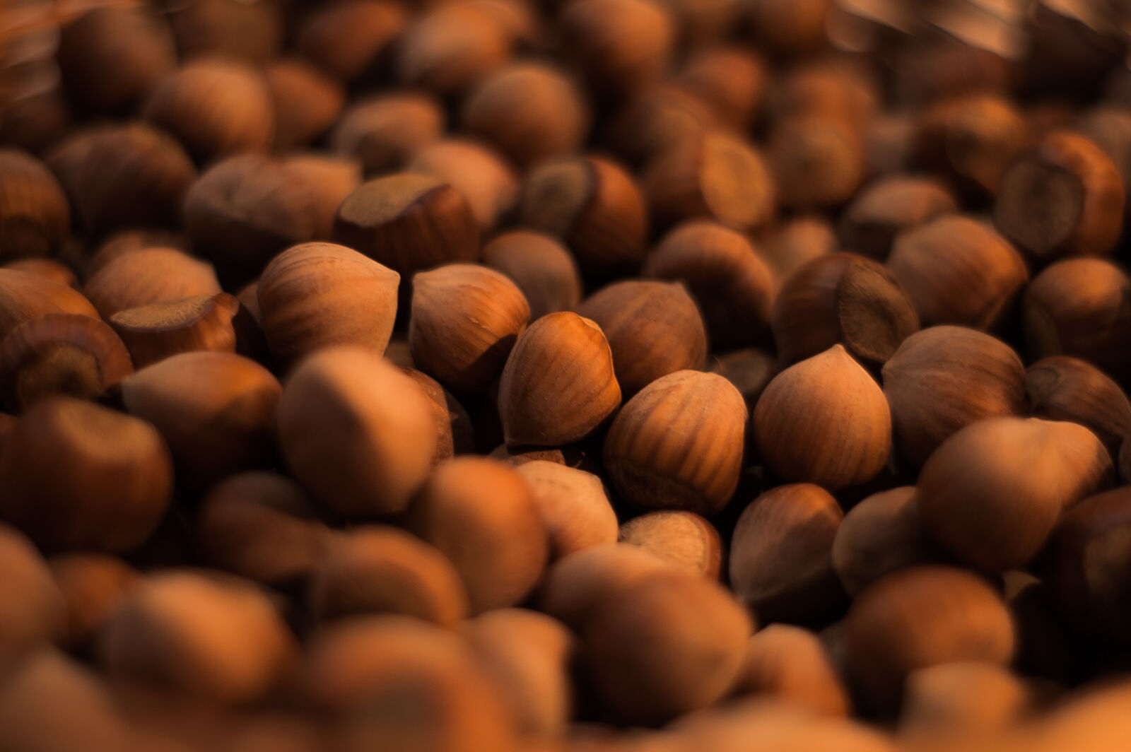 KONICA MINOLTA DYNAX 7D sample photo. Macro, shot, brown, nuts photography