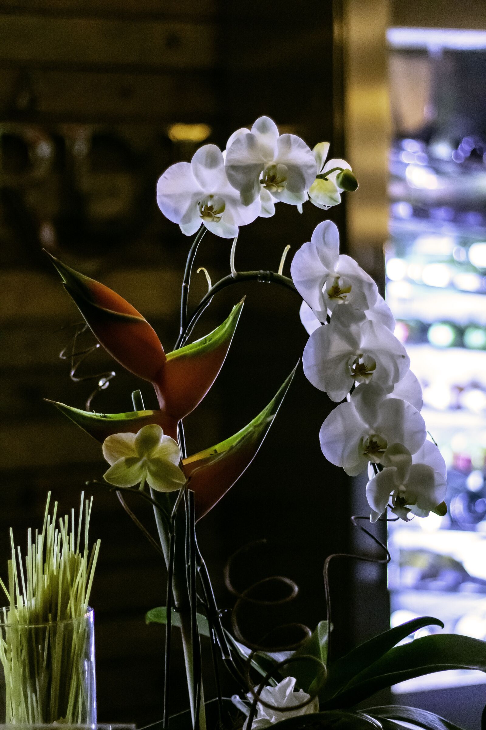 Canon EF 50mm F1.8 STM sample photo. Orchid, flower, nature photography