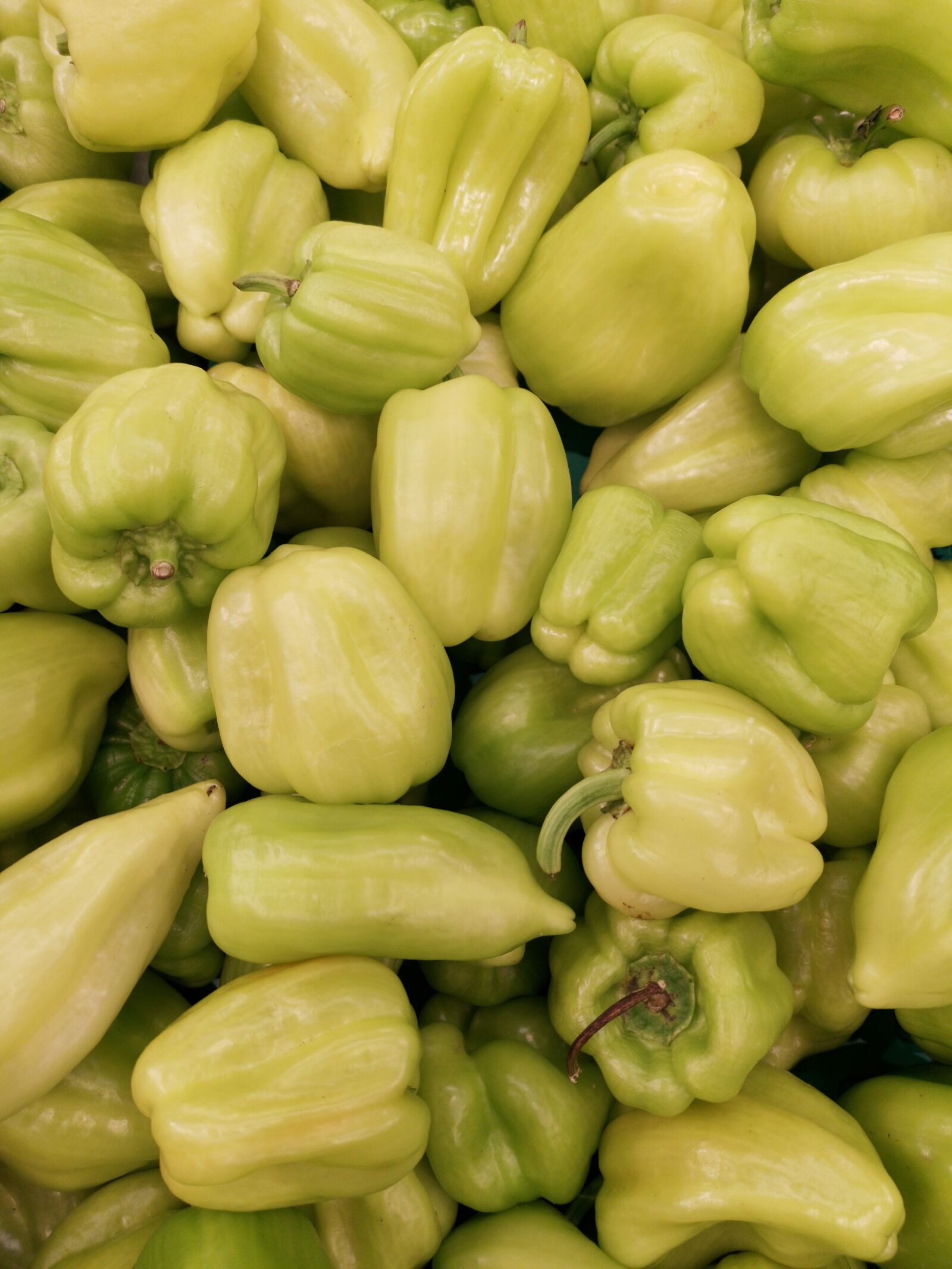 HUAWEI CLT-L09 sample photo. Vegetable, pepper, green photography