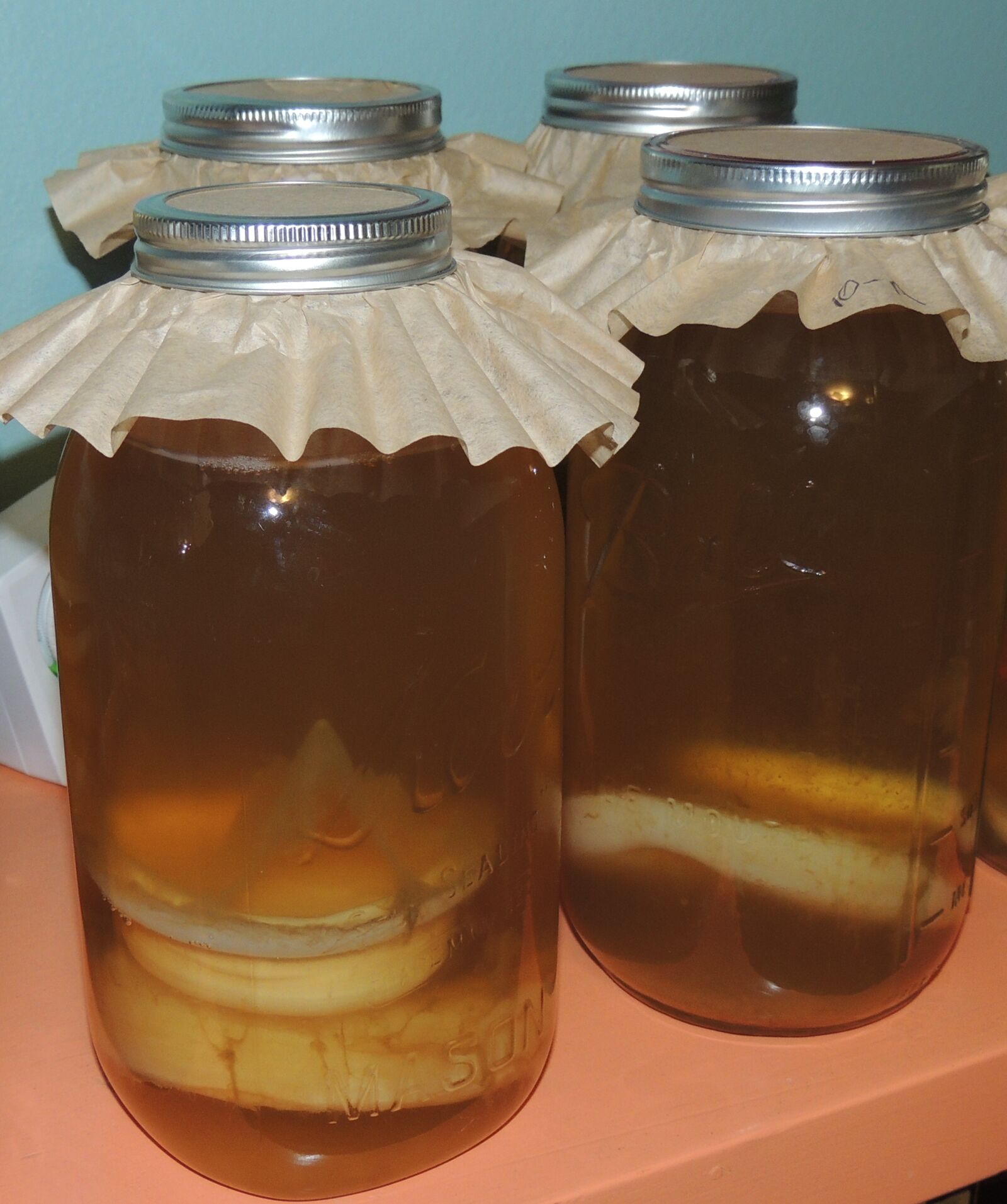 Nikon Coolpix P510 sample photo. Fermentation, fermented, foods, homemade photography