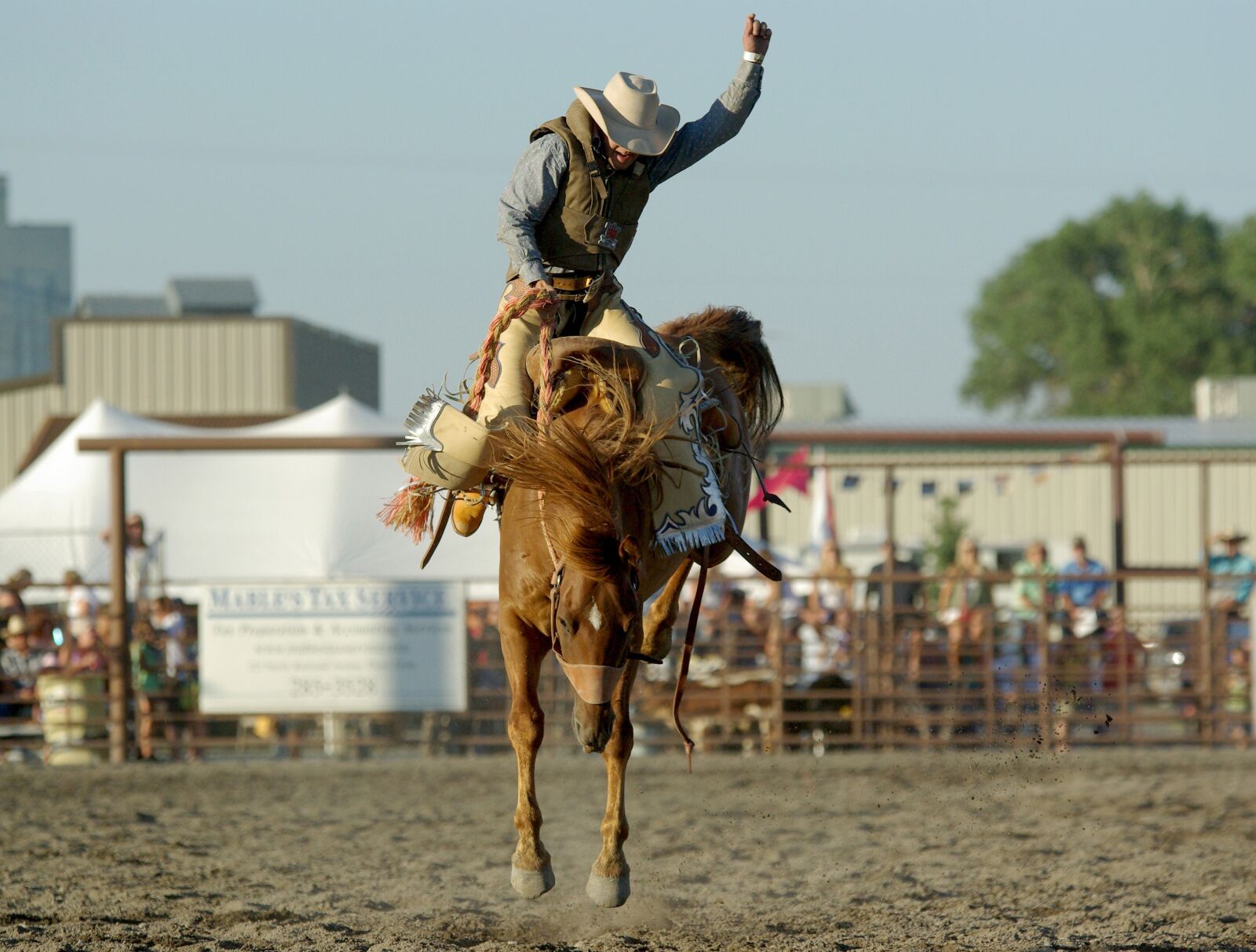 Pentax K10D sample photo. Cowboy, rodeo, horse photography