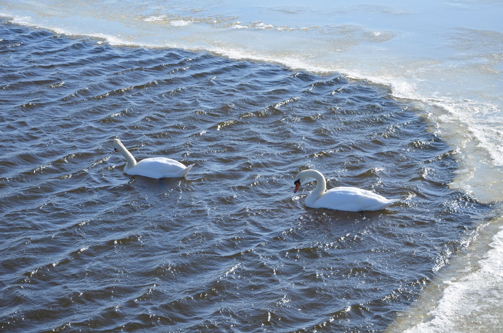 Nikon D5100 sample photo. Winter, lake, water photography