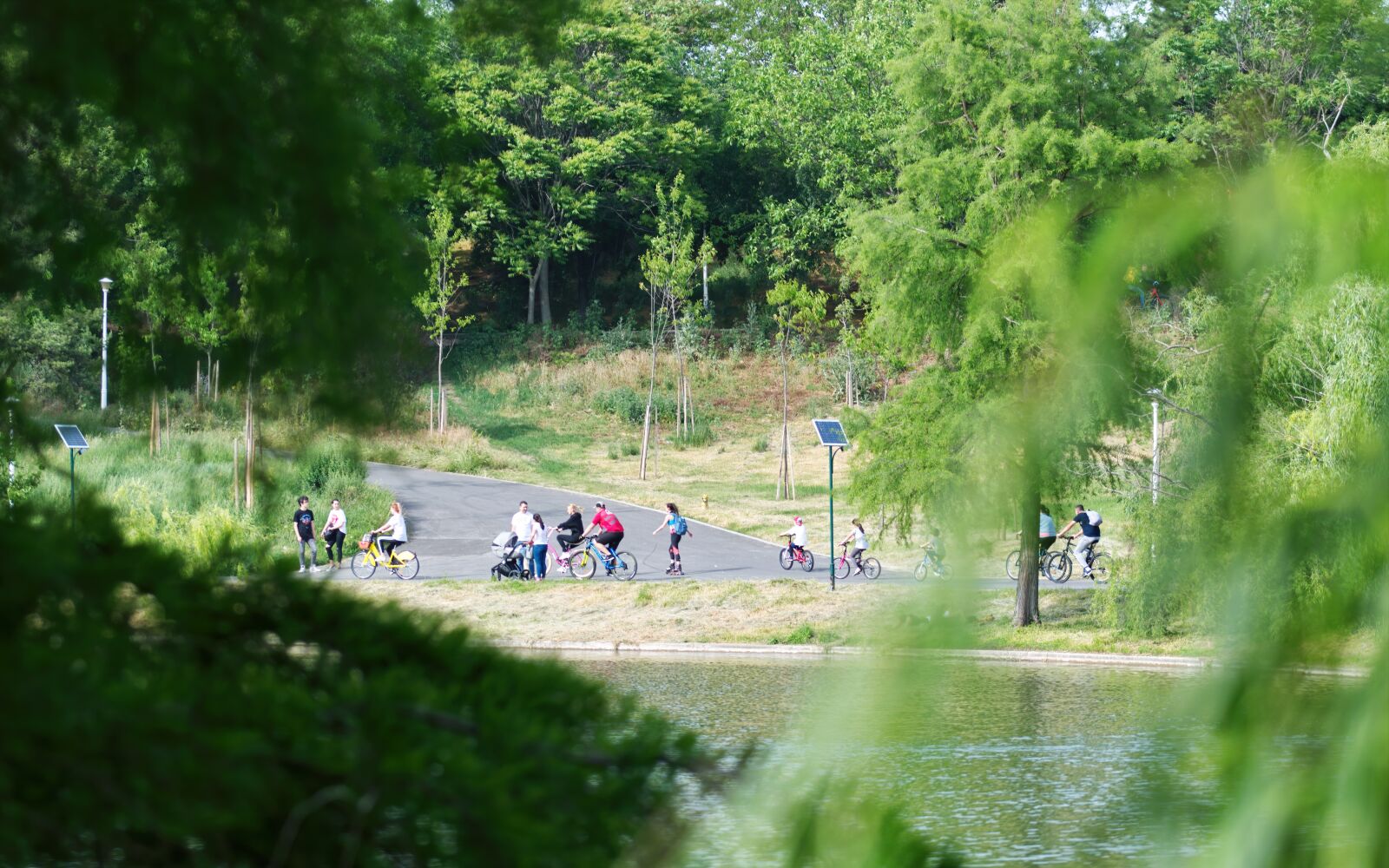 Nikon D5300 sample photo. Views, park, nature photography
