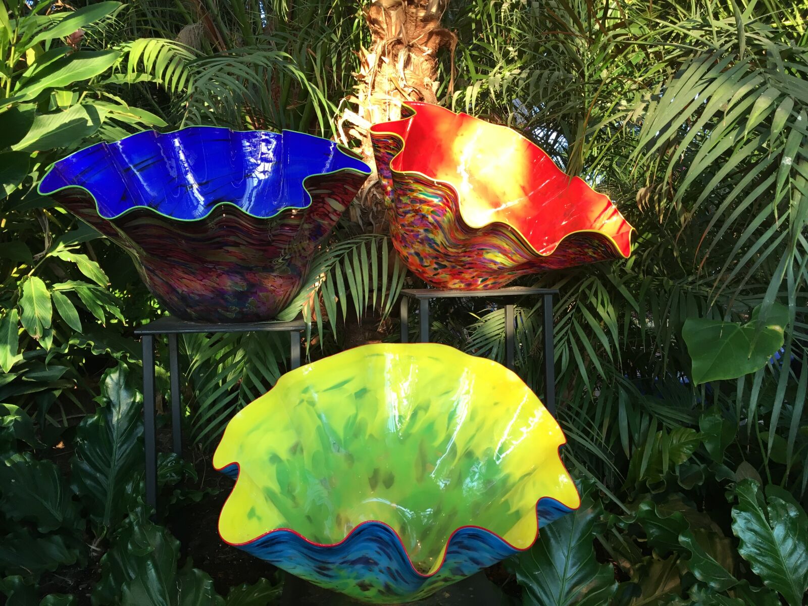 Apple iPhone 6s sample photo. Chihuly, glass, sculpture photography