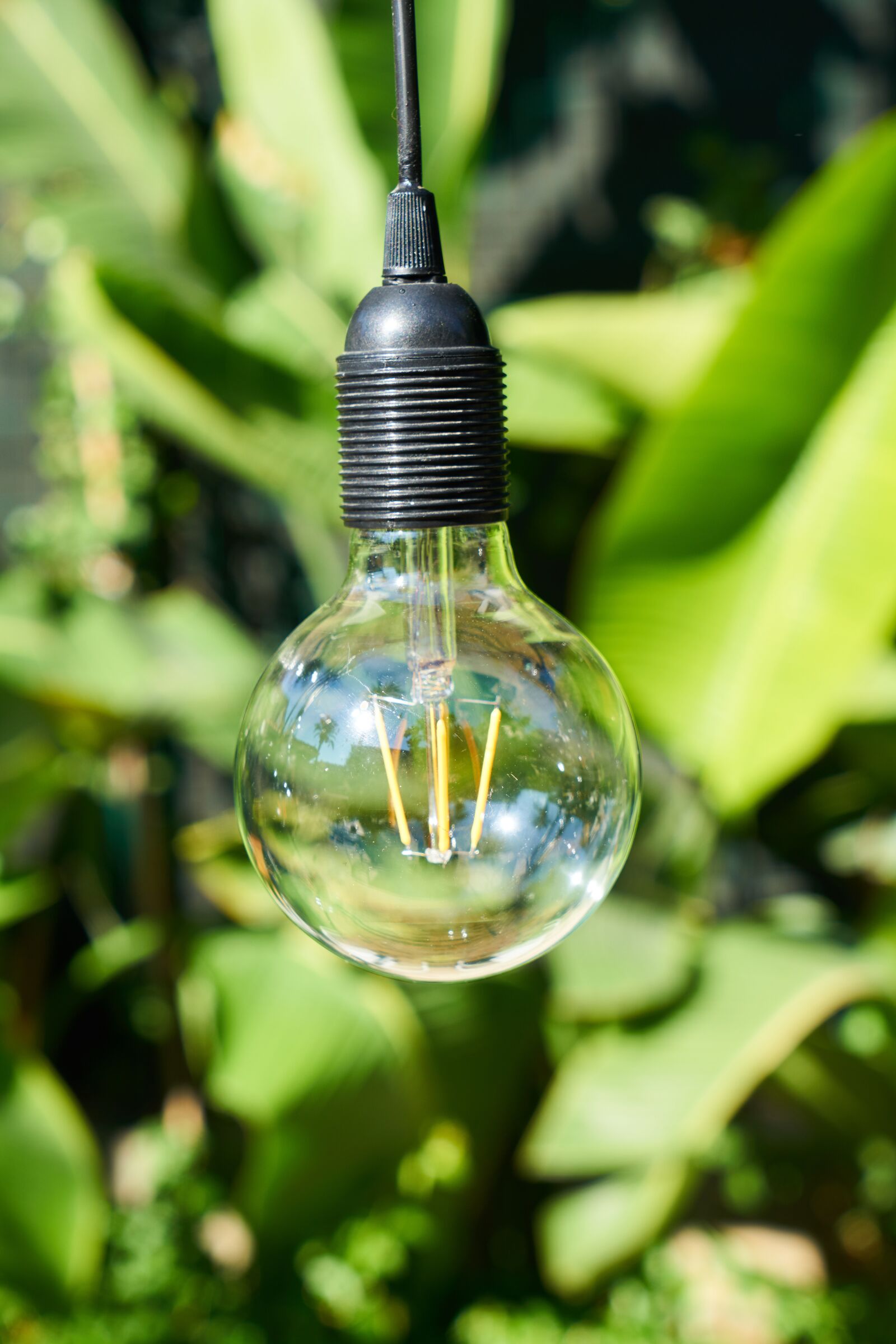 Sony a7R II sample photo. Lamp, lighting, bulb photography