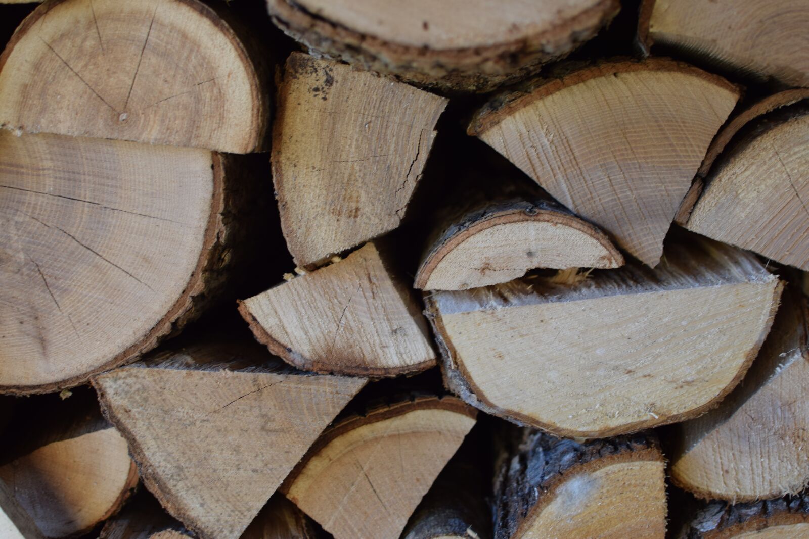 Nikon D5300 sample photo. Wood, tree, tribe photography