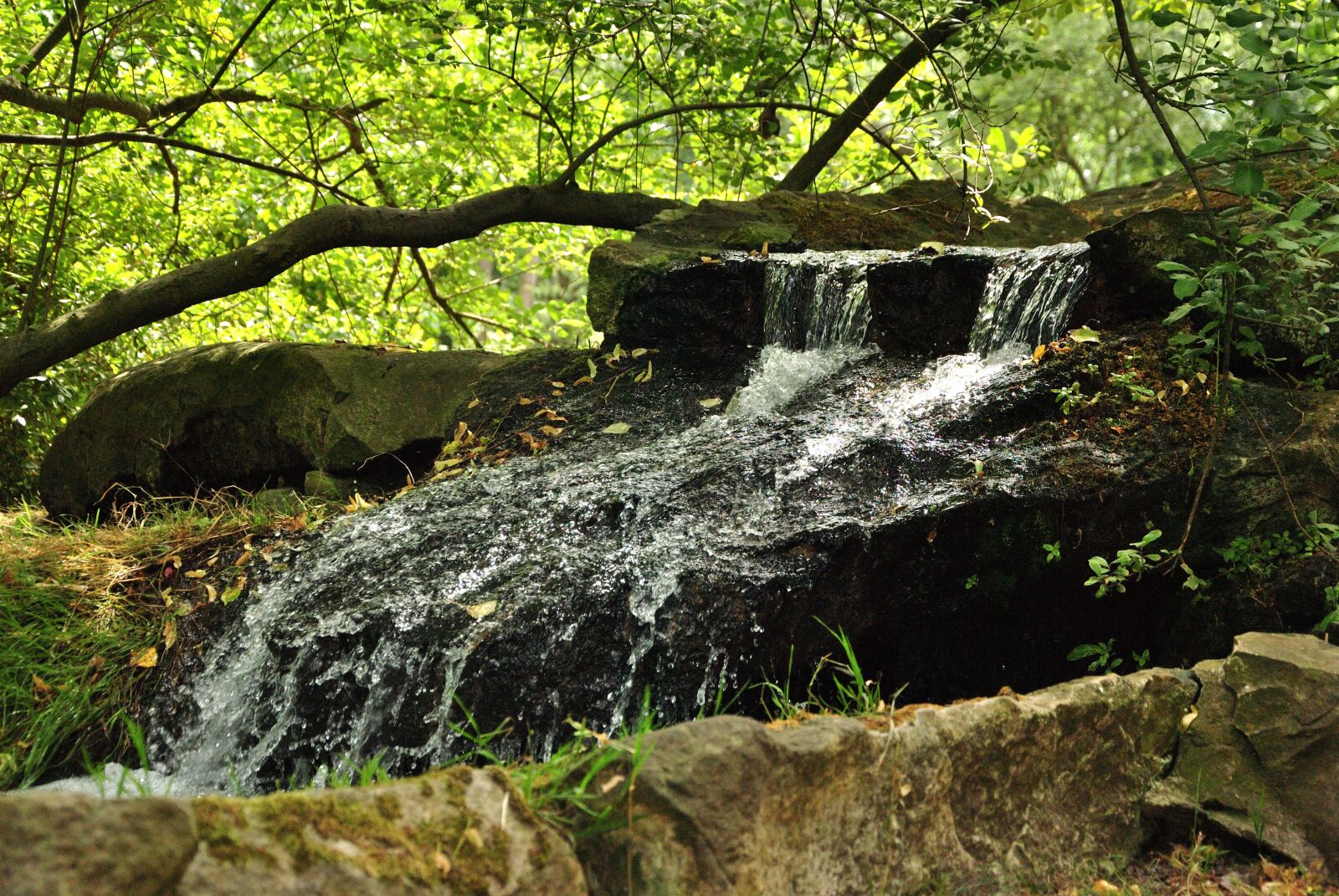 Nikon D3000 sample photo. Water, power, wet photography