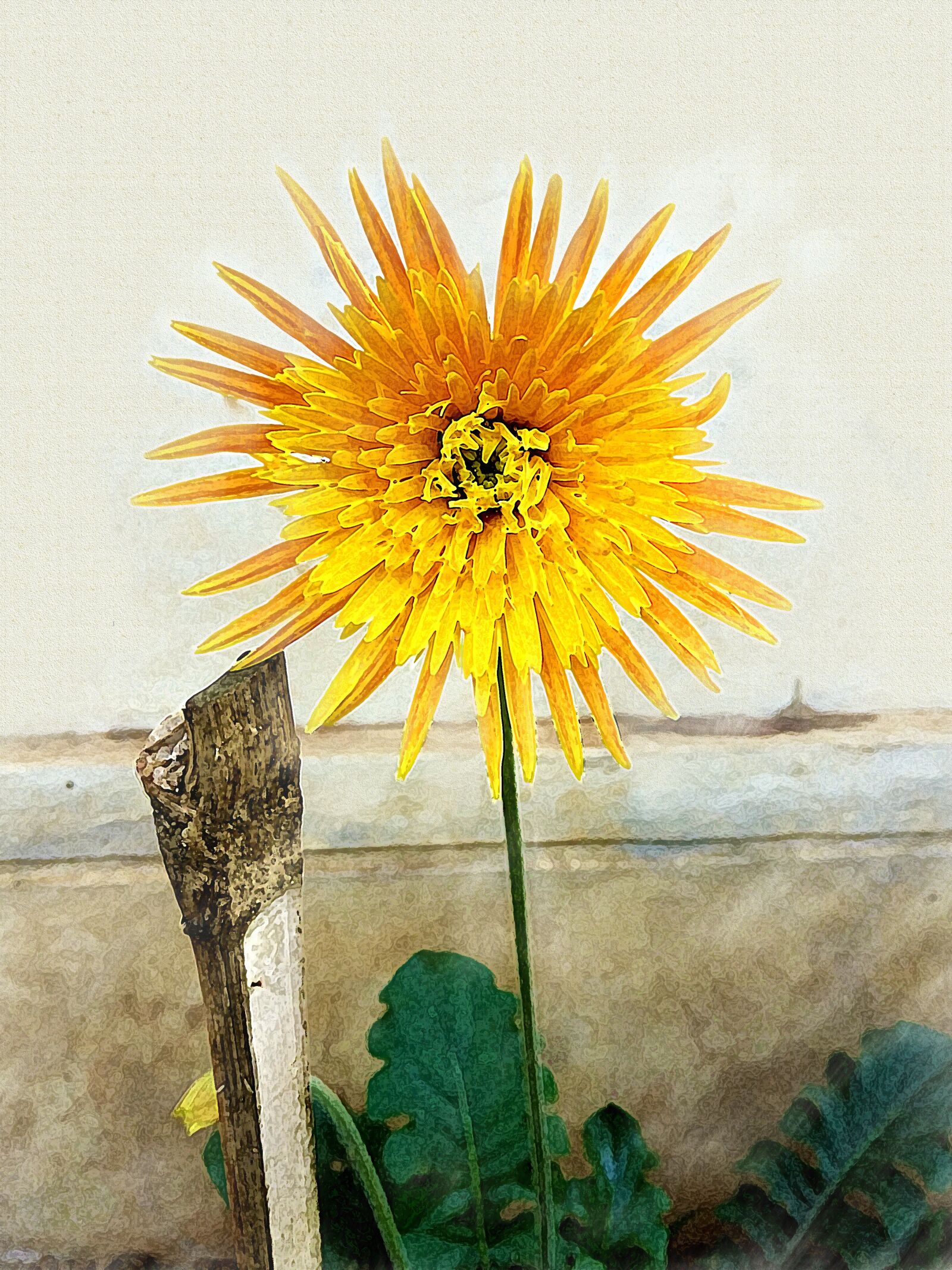 Xiaomi Redmi Note3 sample photo. Nature, flower, flora photography