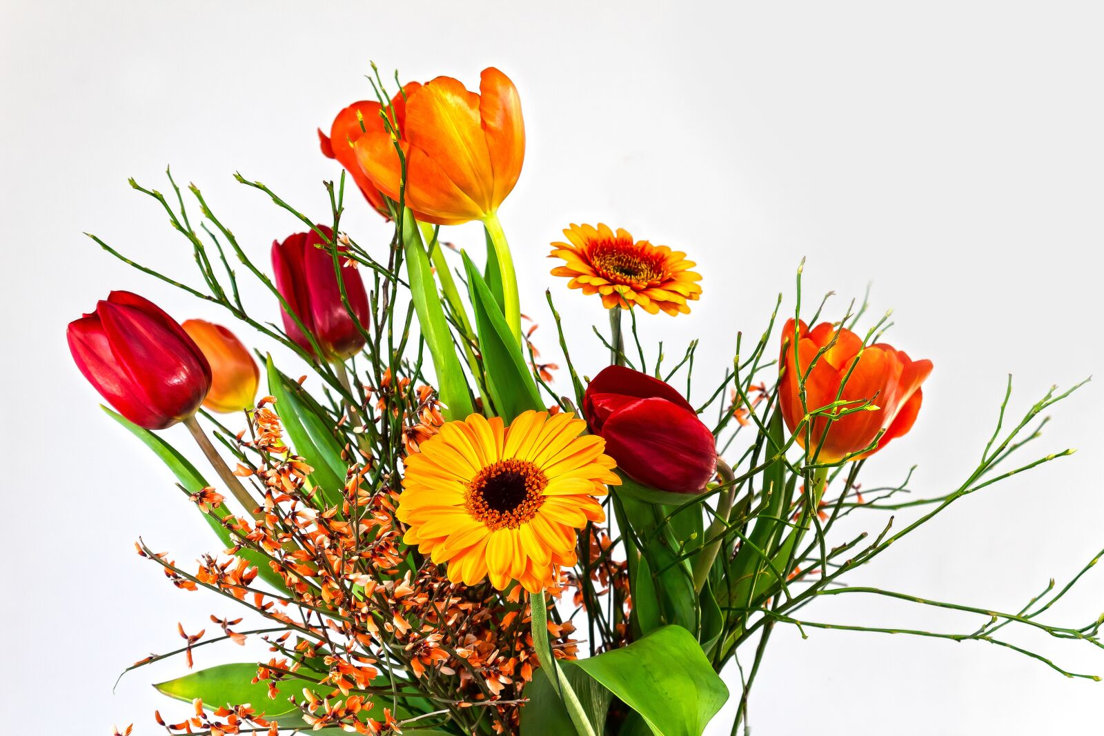 Canon EOS 1300D (EOS Rebel T6 / EOS Kiss X80) sample photo. Tulip, gerbera, composites photography