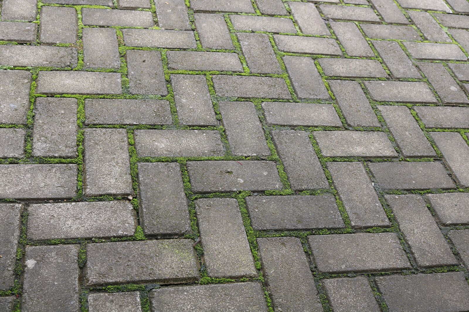 Canon EOS 750D (EOS Rebel T6i / EOS Kiss X8i) sample photo. Pattern, stone, cobblestone photography