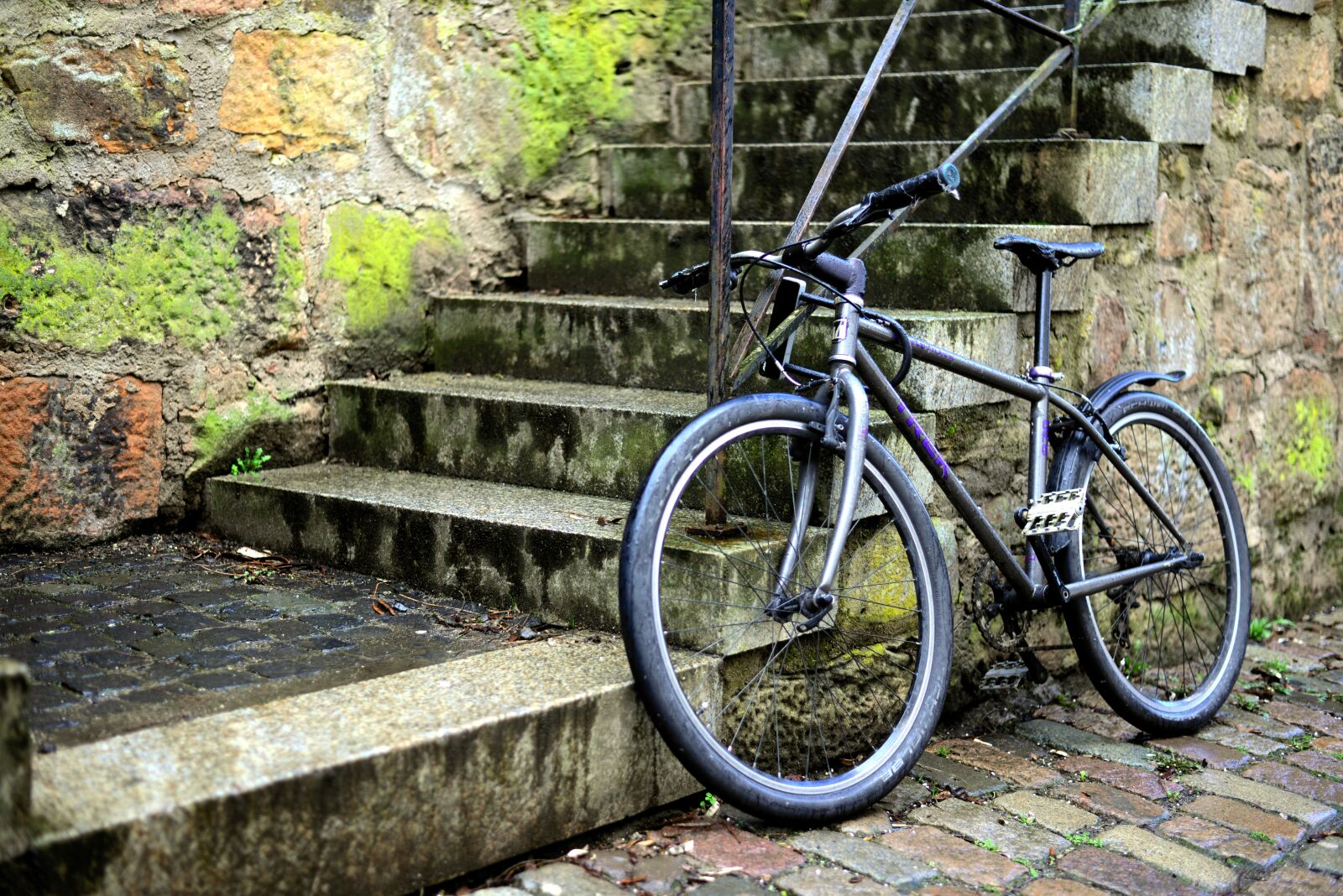 Nikon D610 sample photo. Bike, turned off, stairs photography
