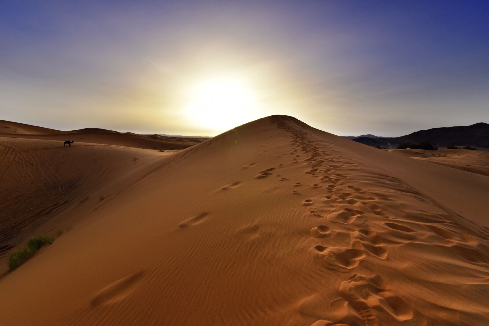 Nikon D750 sample photo. Sunrise, desert, morocco photography