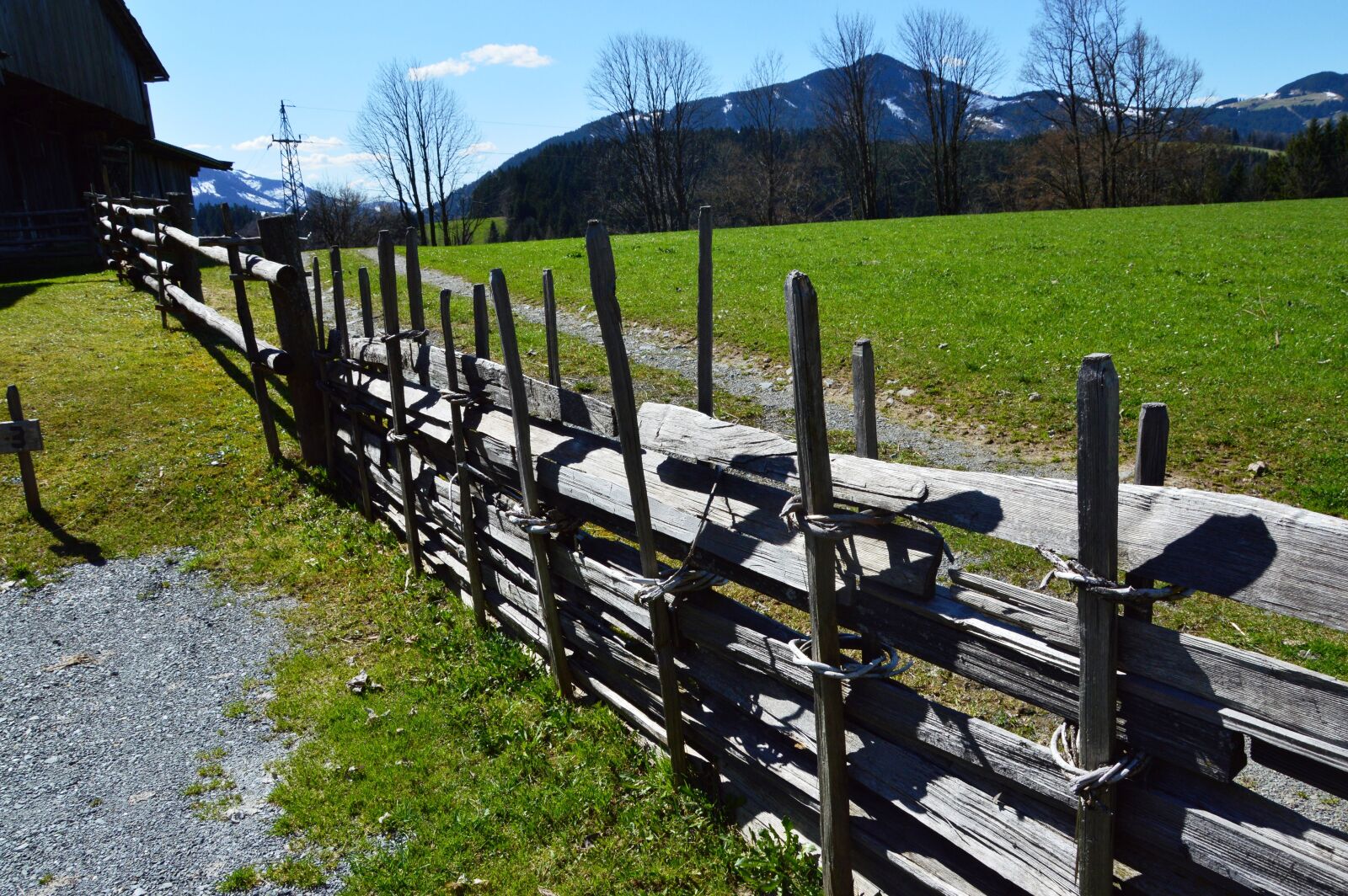 Nikon D3200 sample photo. Trail, wood fence, nail photography