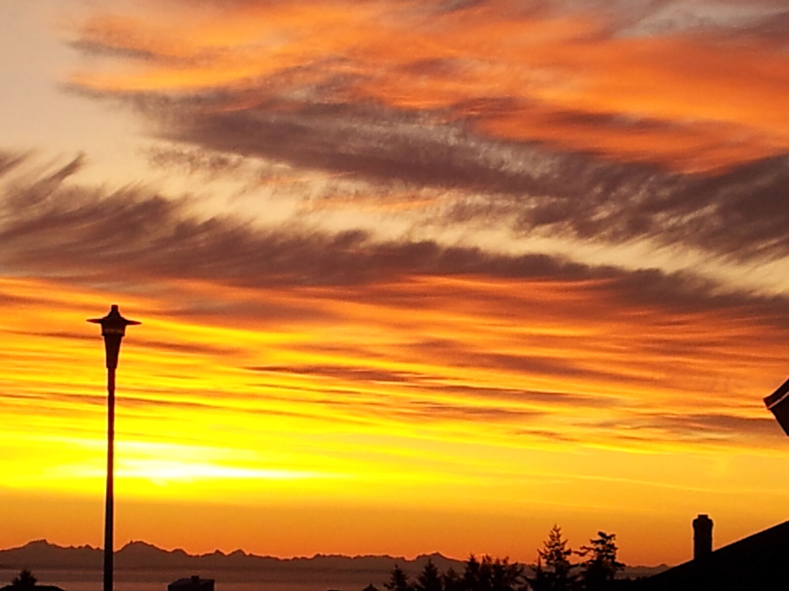 Samsung Galaxy S2 sample photo