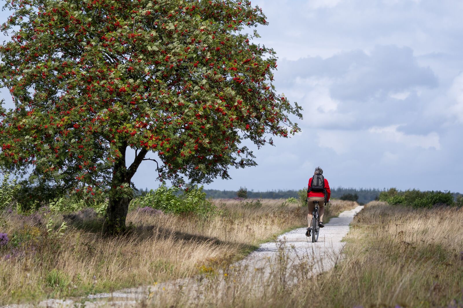 Nikon D500 sample photo. Cycling, relax, holiday photography