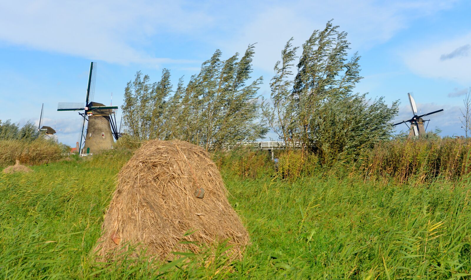 Nikon D800 sample photo. World heritage, kinderdijk, fireplace photography