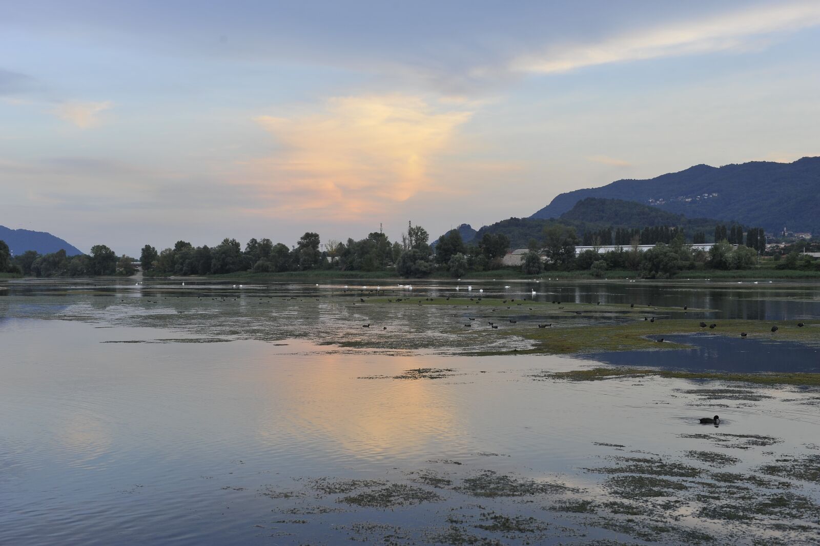 Nikon D700 sample photo. Lake, sunset, nature photography
