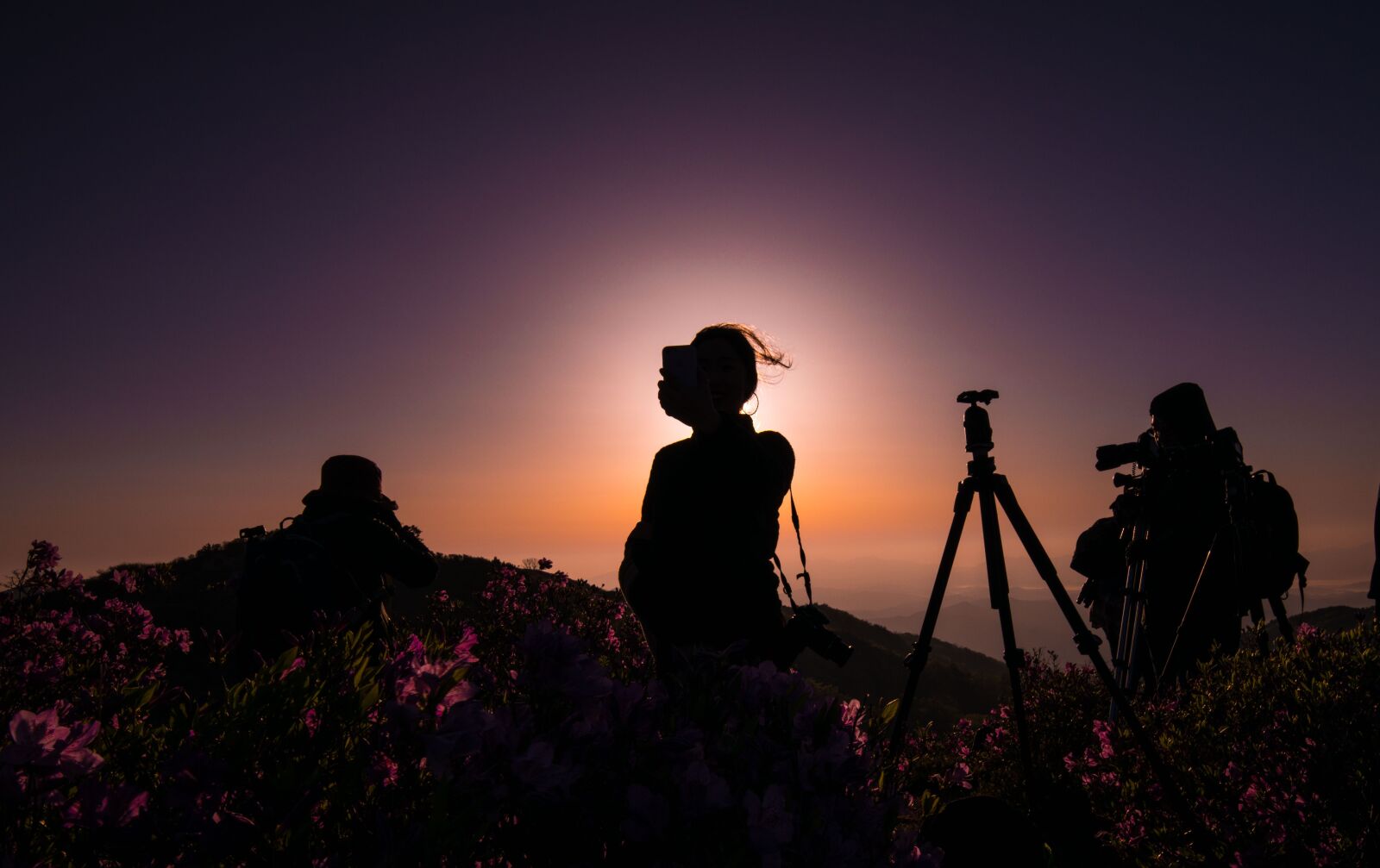 Nikon D800 + Tamron SP 15-30mm F2.8 Di VC USD sample photo. Sunset, silhouette, scenery photography