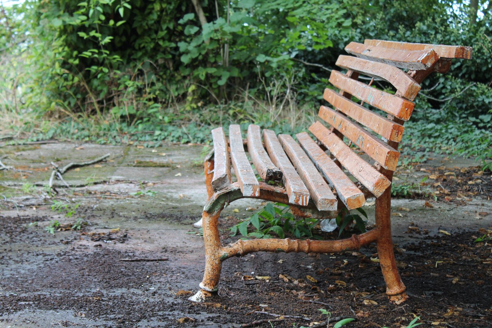 Canon EOS 1100D (EOS Rebel T3 / EOS Kiss X50) sample photo. Sit, abandoned, rest photography