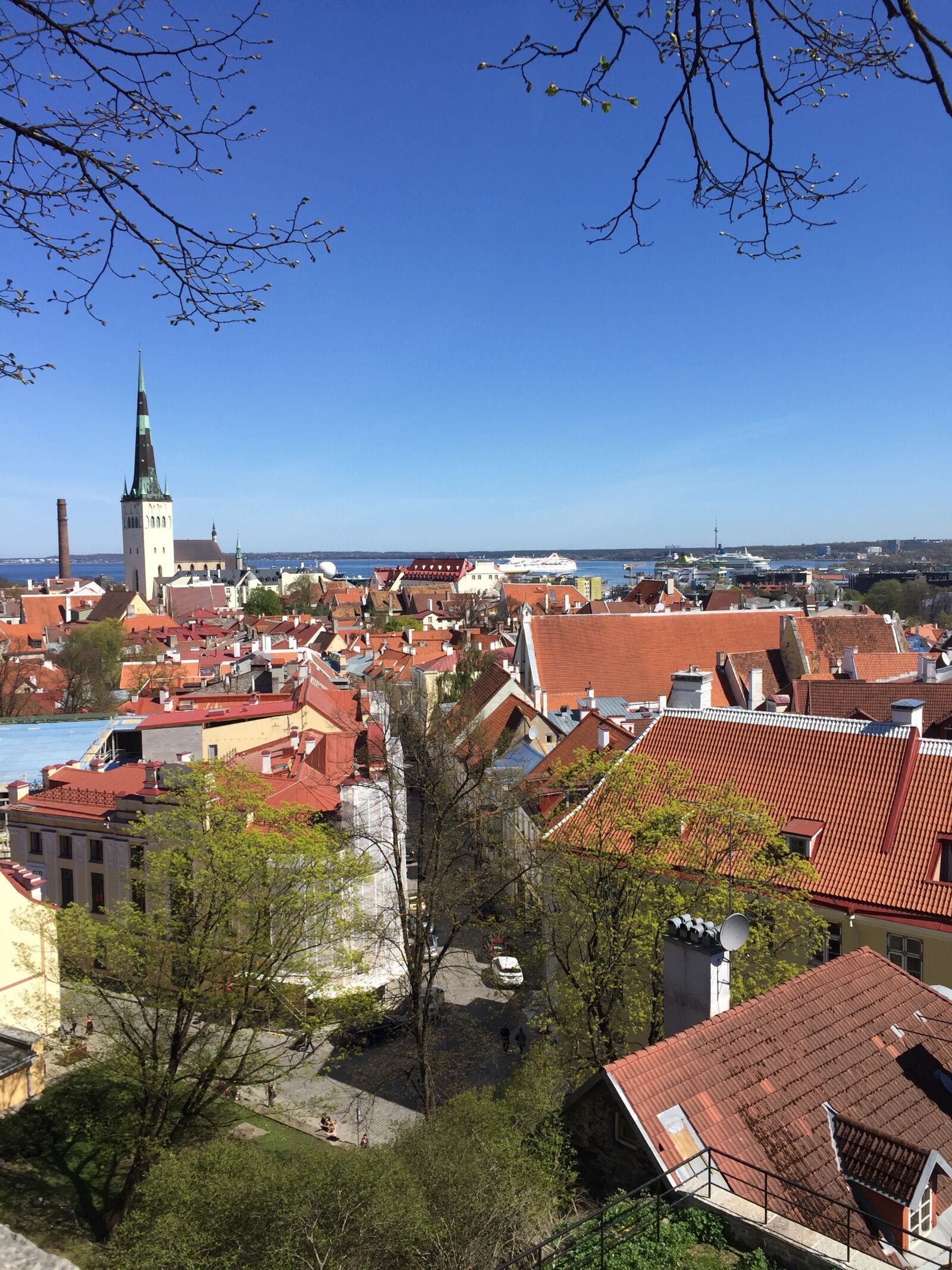 Apple iPhone 6 sample photo. Tallinn, europe, roof photography