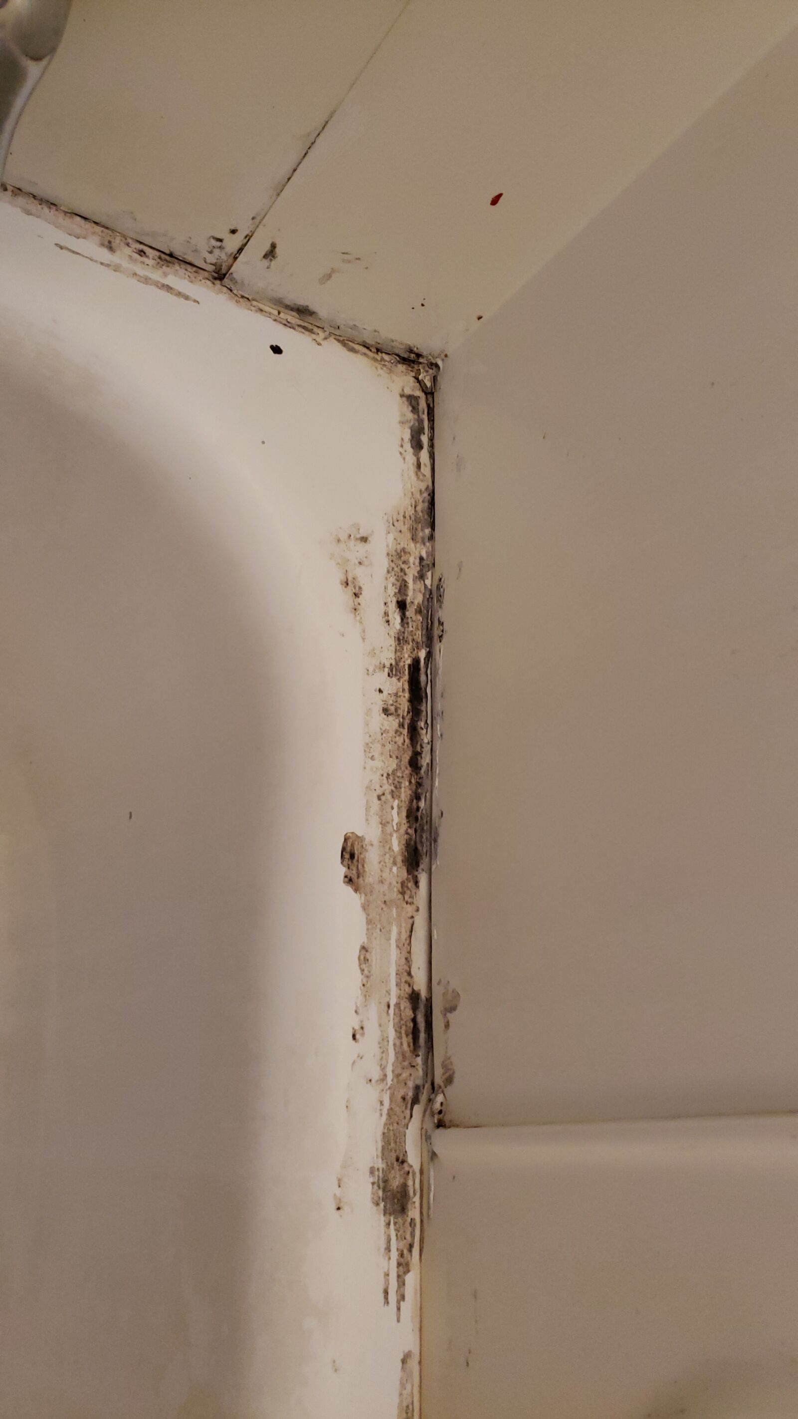 Samsung Galaxy Note9 sample photo. Mold, bath, room photography