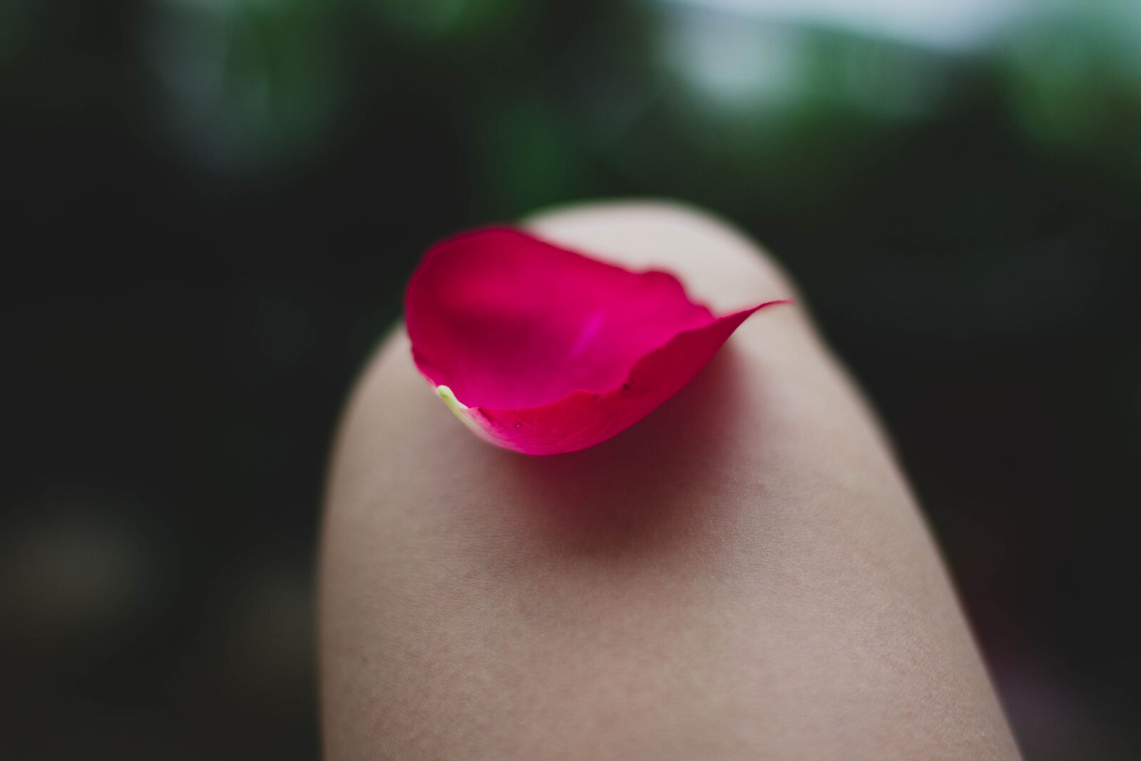 Canon EOS 600D (Rebel EOS T3i / EOS Kiss X5) sample photo. Blur, bright, close, up photography