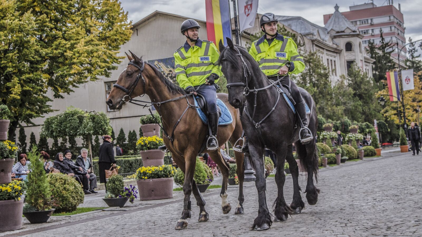 Nikon D7000 sample photo. Police, horse, old photography