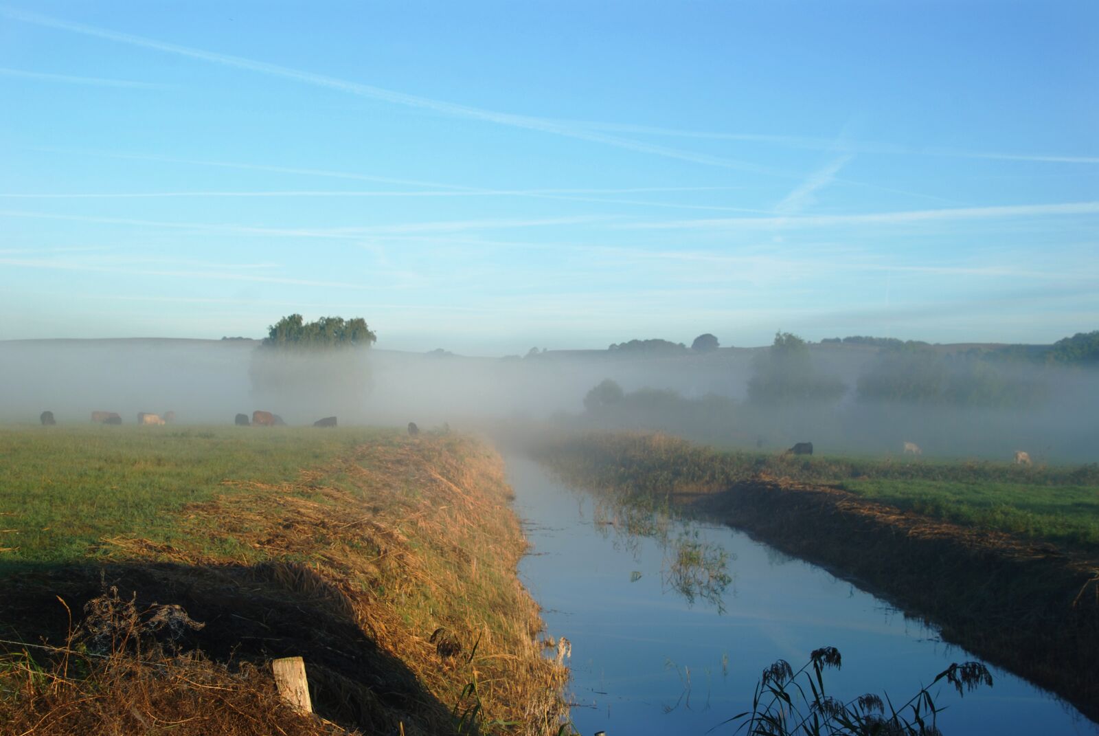 Nikon D80 sample photo. Sunrise, fog, sea photography