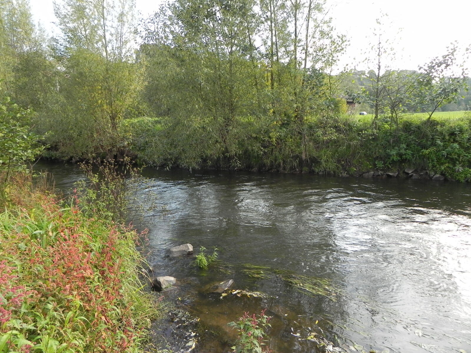 Nikon Coolpix P100 sample photo. Countryside, creek, fields, germany photography