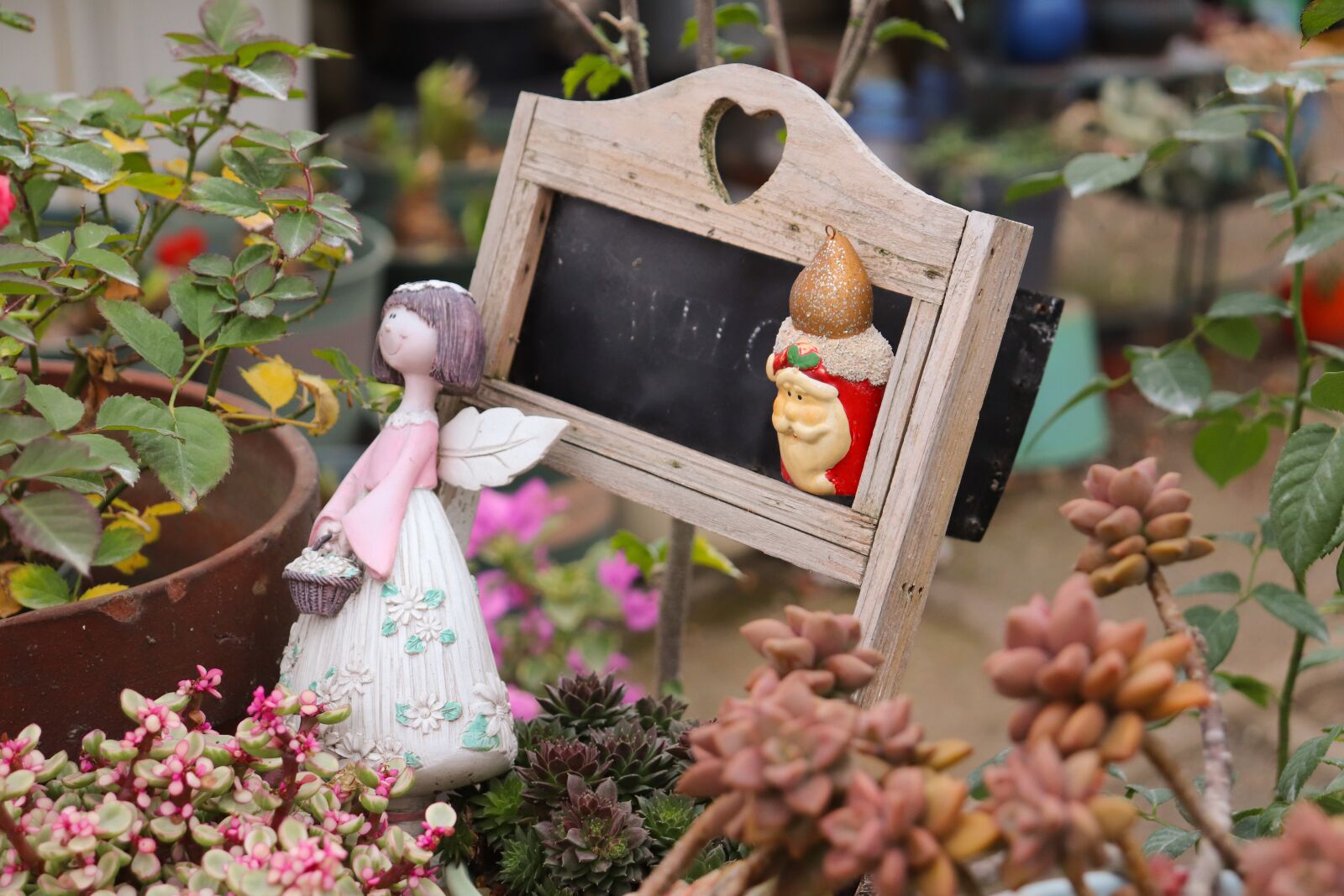 Canon EOS 800D (EOS Rebel T7i / EOS Kiss X9i) sample photo. Garden, small blackboard, decoration photography