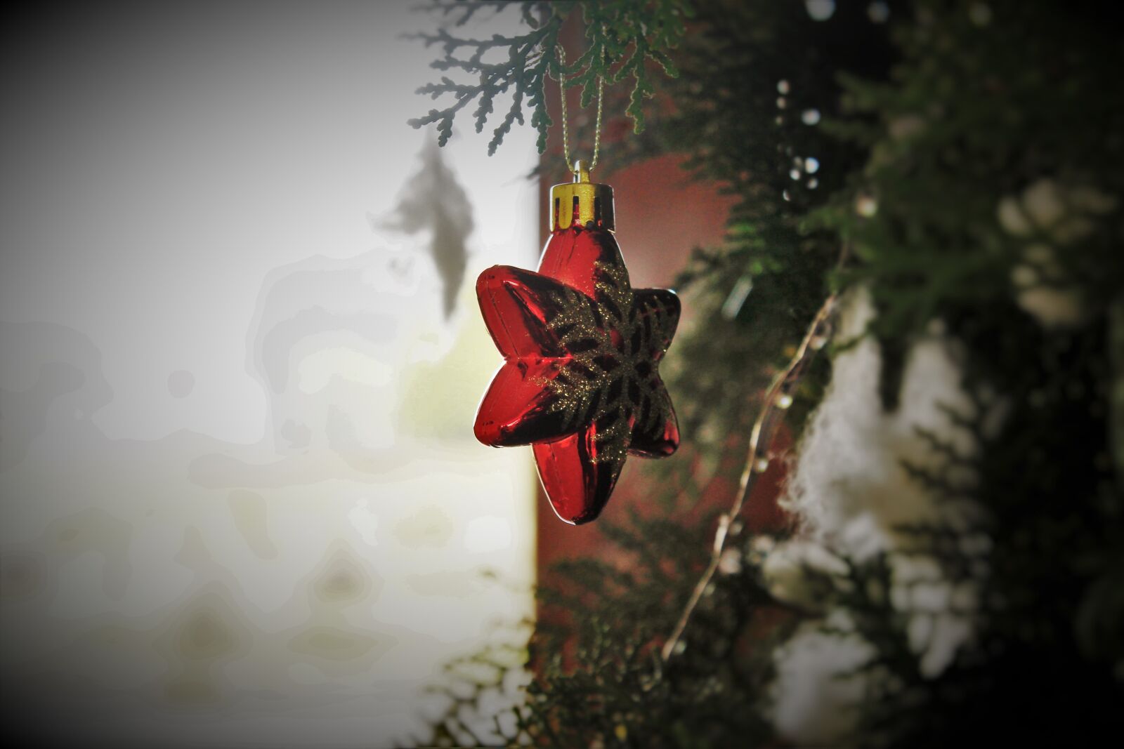 Canon EOS 1200D (EOS Rebel T5 / EOS Kiss X70 / EOS Hi) sample photo. A, christmas, worth, sharing photography