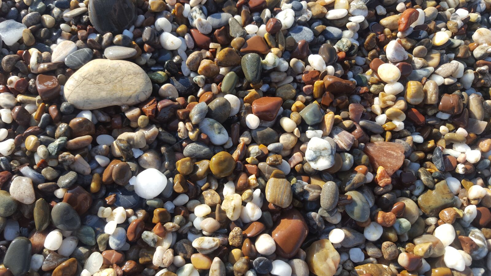 Samsung Galaxy S6 sample photo. Kennedy, nature, variation photography