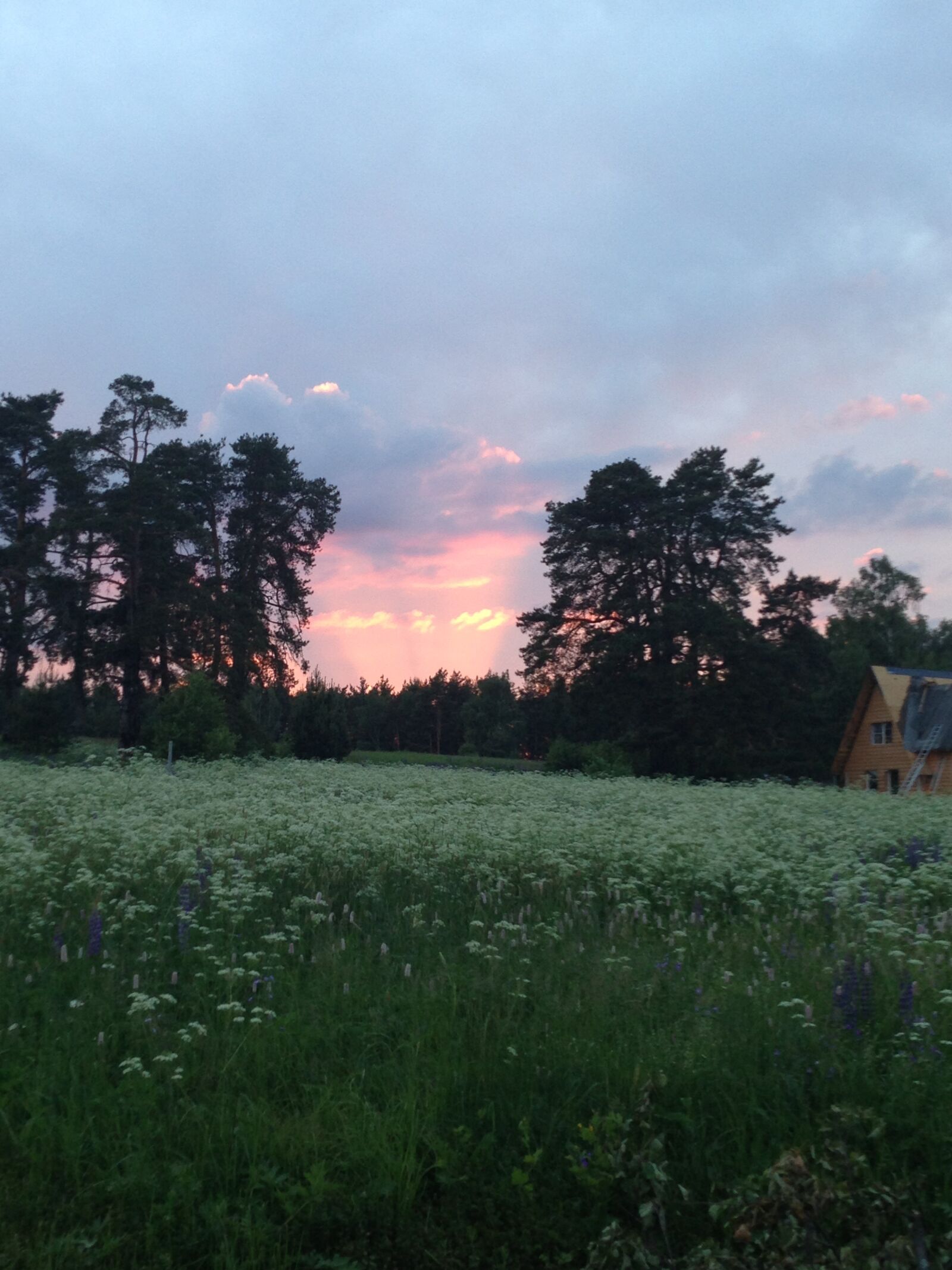Apple iPhone 5 sample photo. Nature, summer, village photography